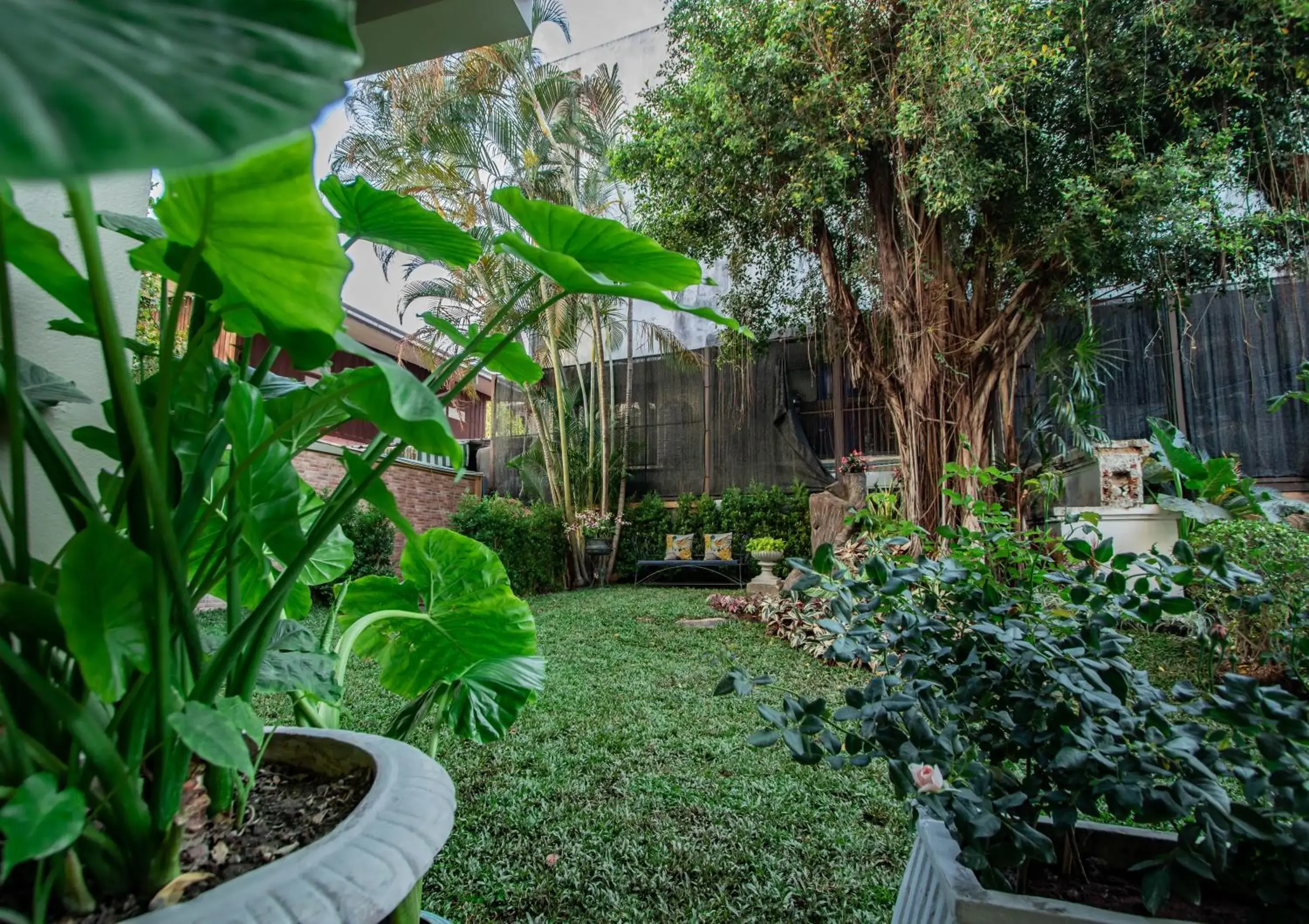 Garden view, Garden in Eurana Boutique Hotel