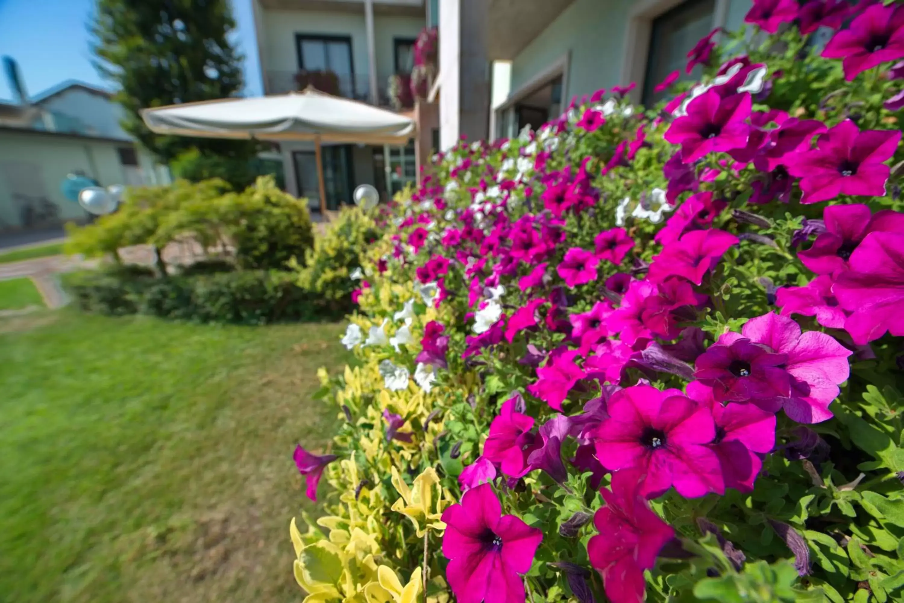 Decorative detail, Garden in Hotel Eden