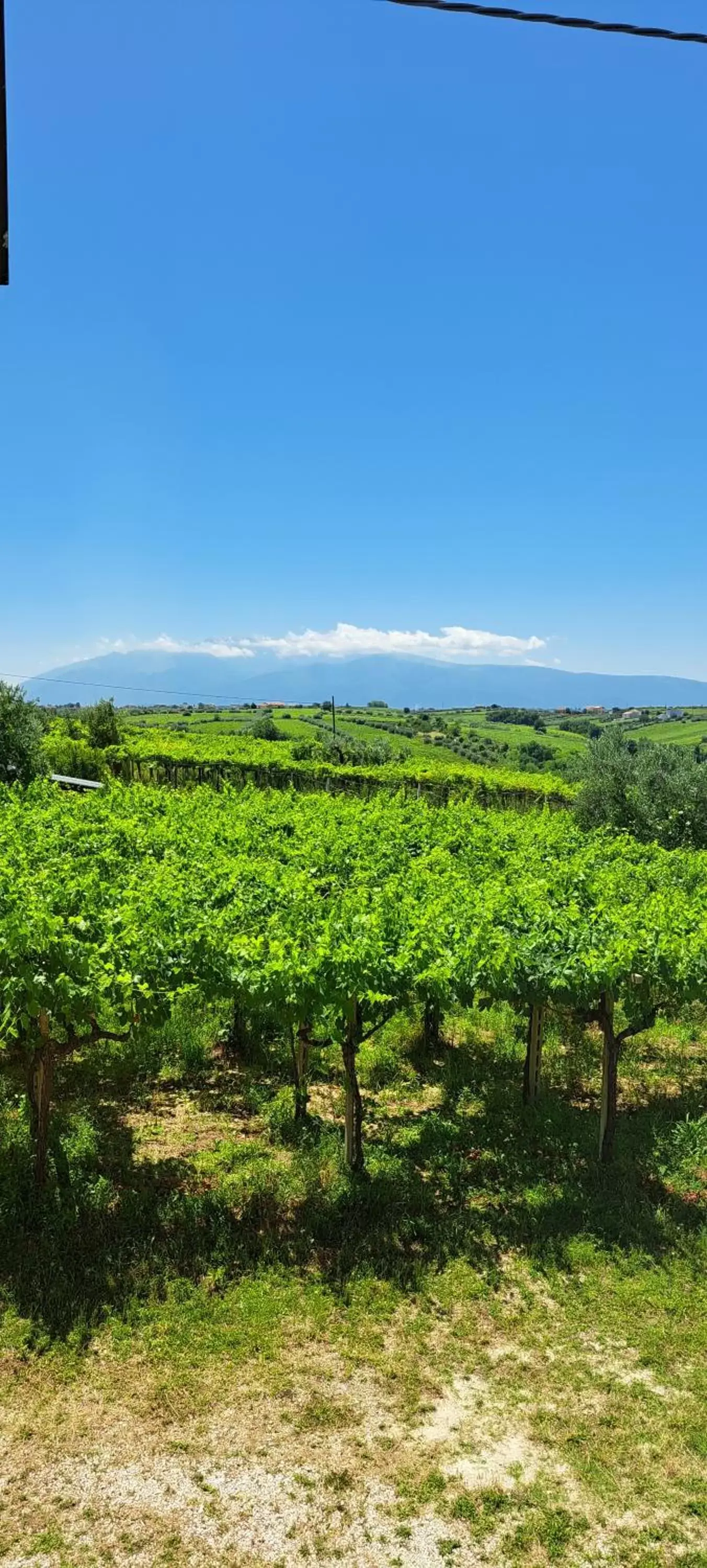 Natural Landscape in B & B le tre rose