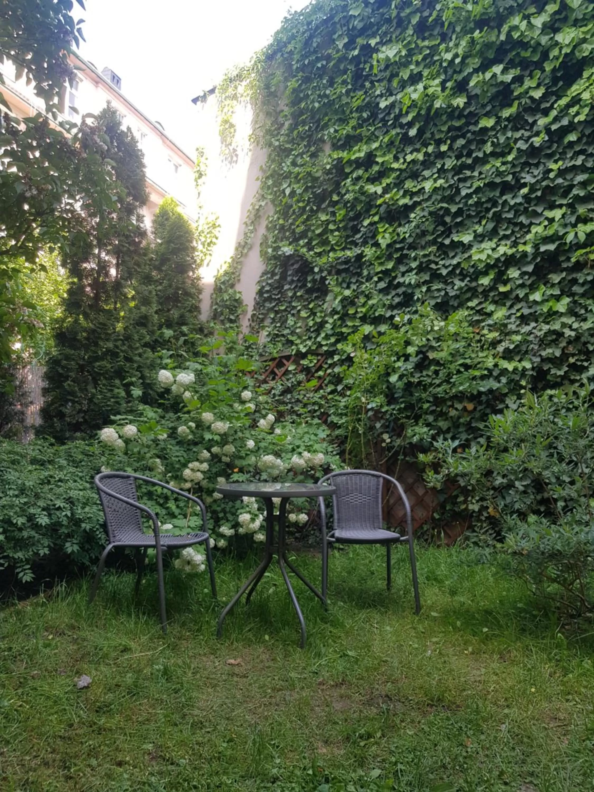 Patio, Garden in Akira Bed & Breakfast