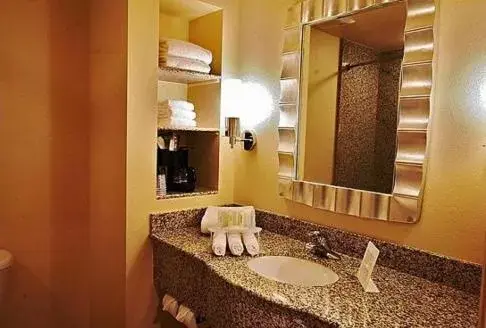 Bathroom in Holiday Inn Express Orlando-Ocoee East, an IHG Hotel