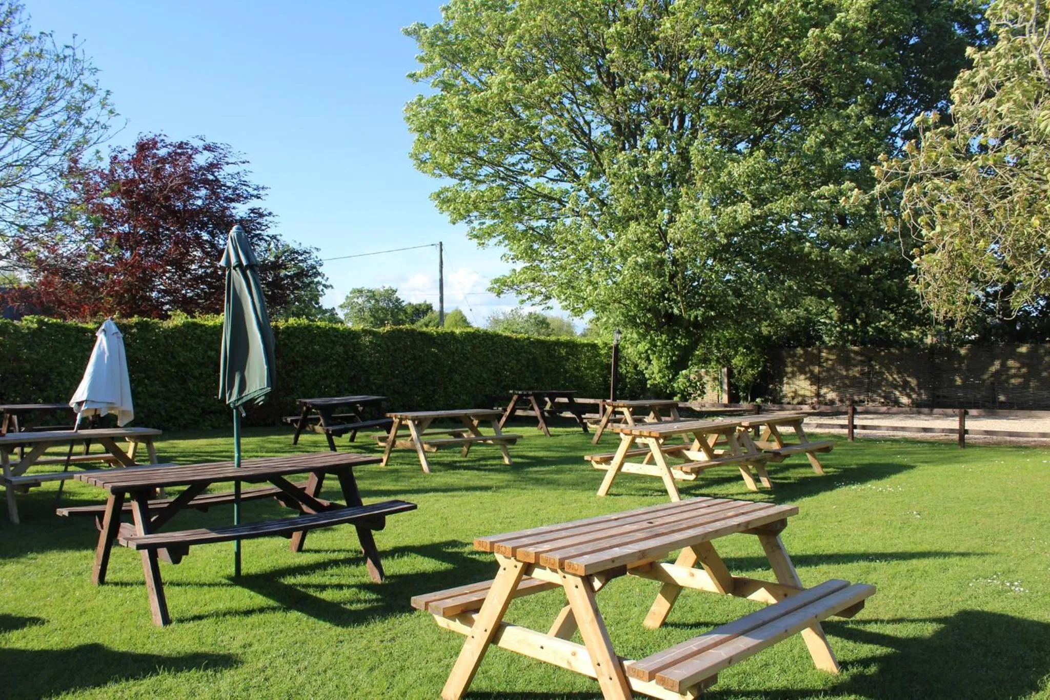 Garden in The Langton Arms