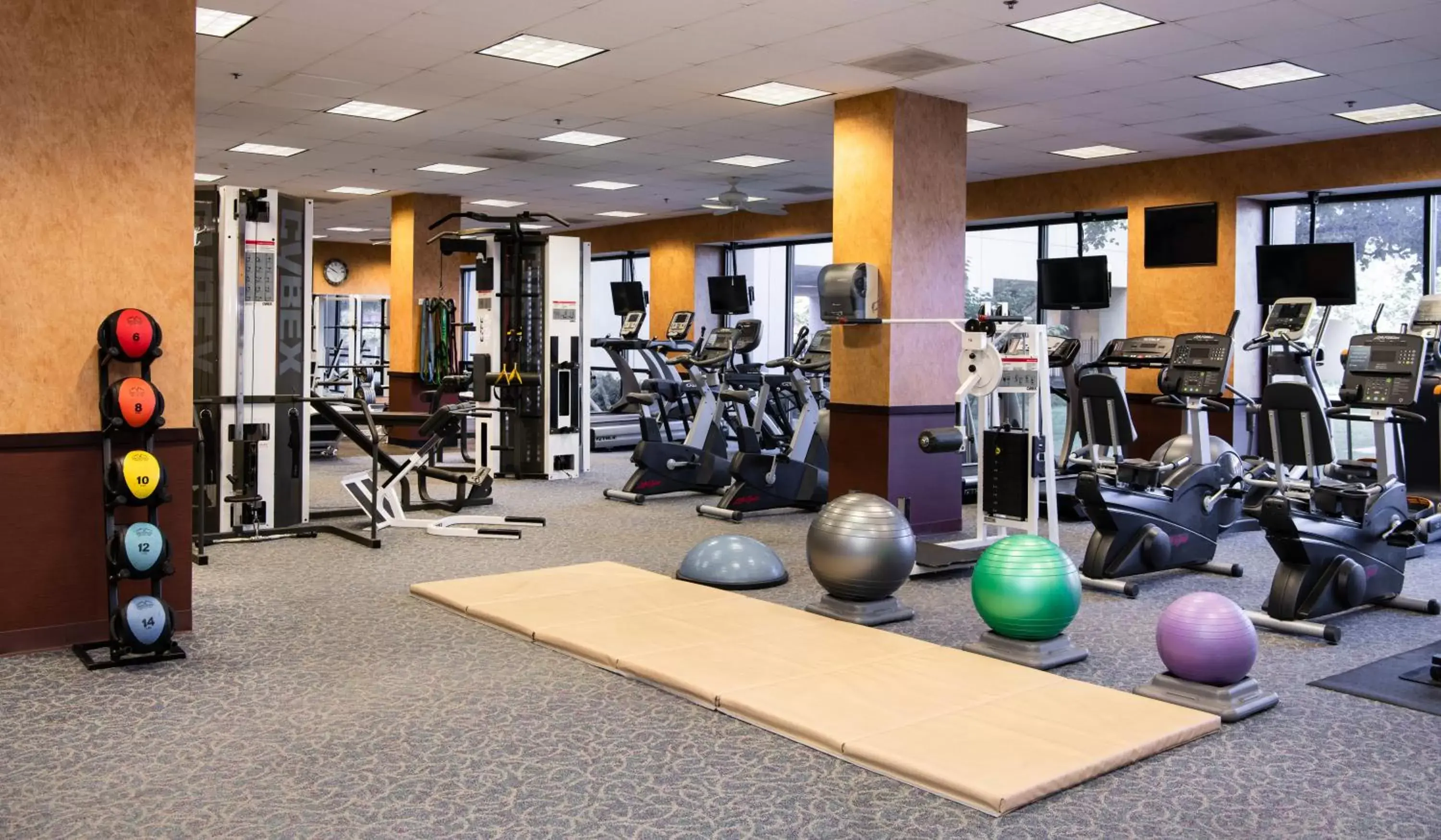 Fitness centre/facilities, Fitness Center/Facilities in NCED Conference Center & Hotel
