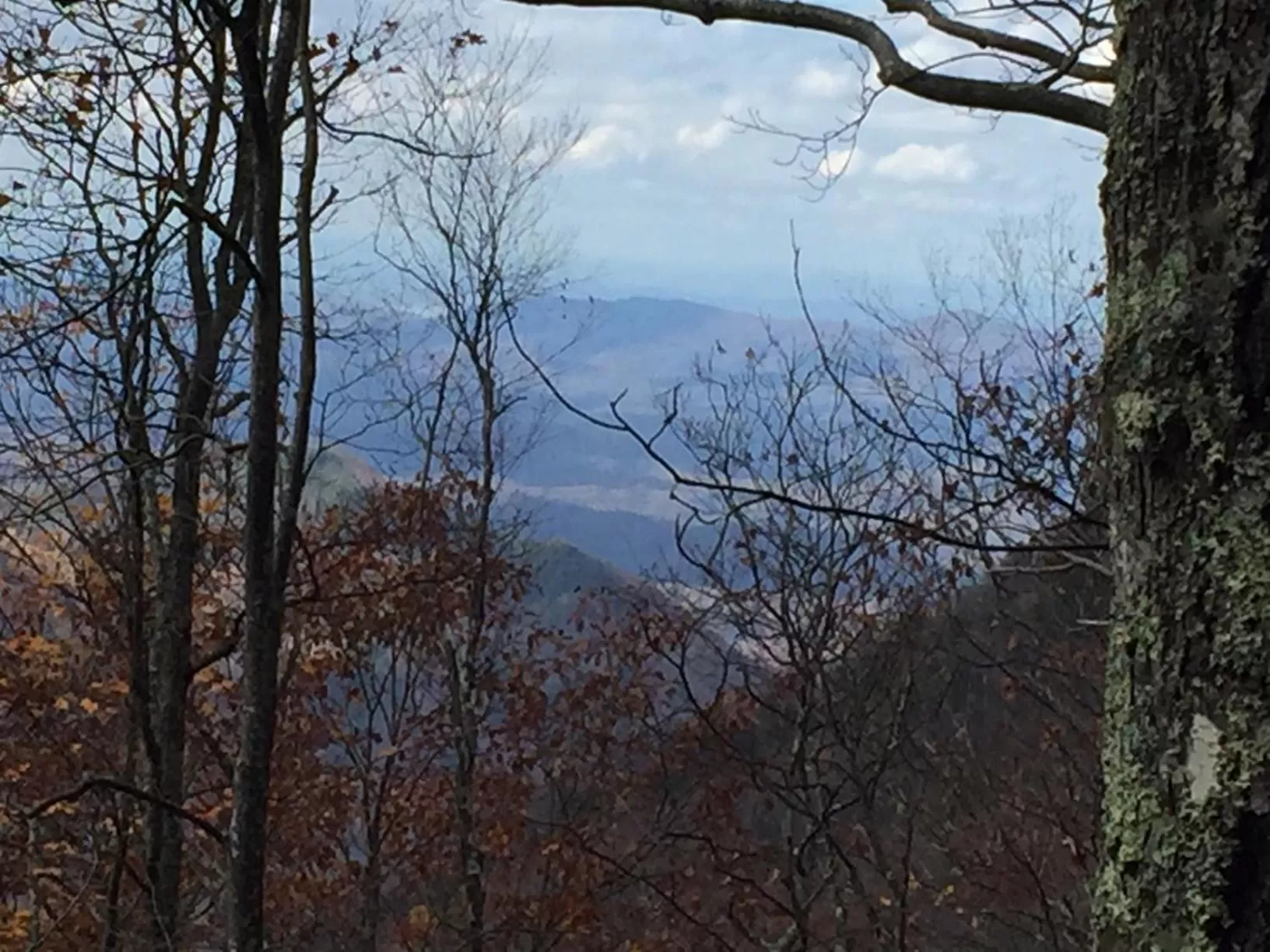 Natural landscape in Creekwalk Inn Bed and Breakfast with Cabins