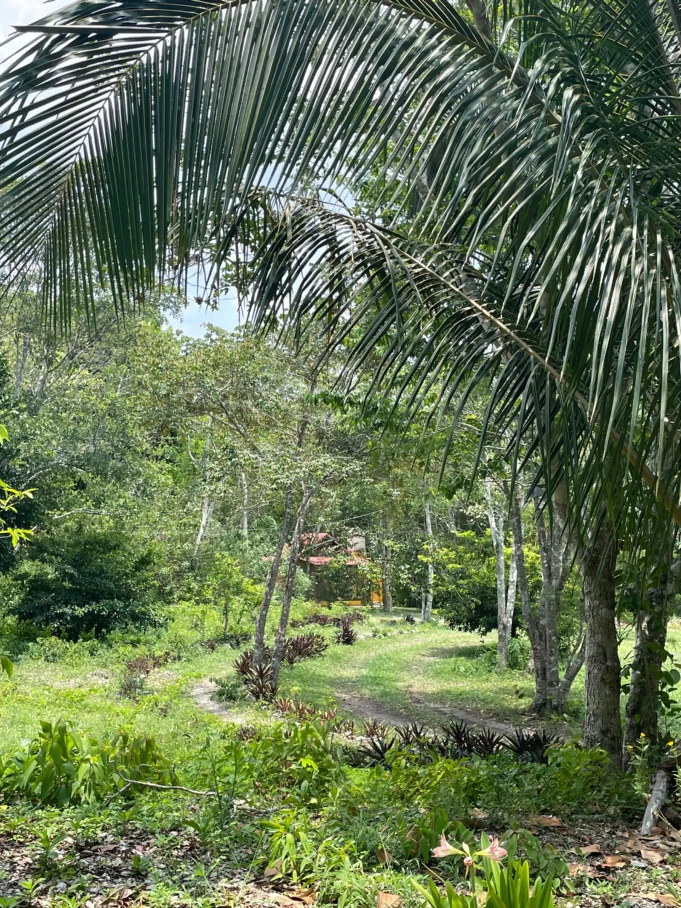 Garden in Ecohabitat