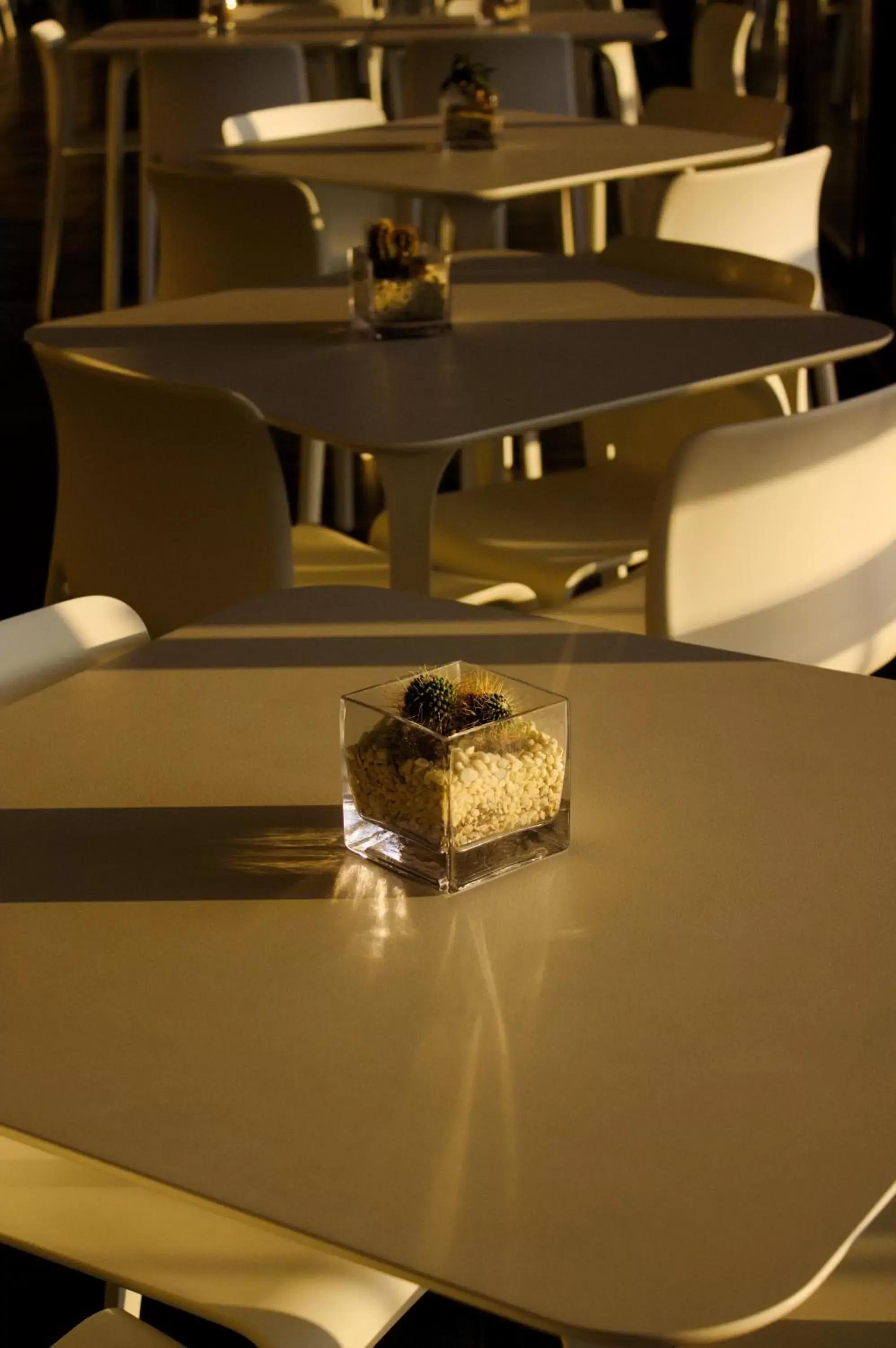 Restaurant/places to eat in President Hotel Palermo Restaurant/places to eat in President Hotel Palermo