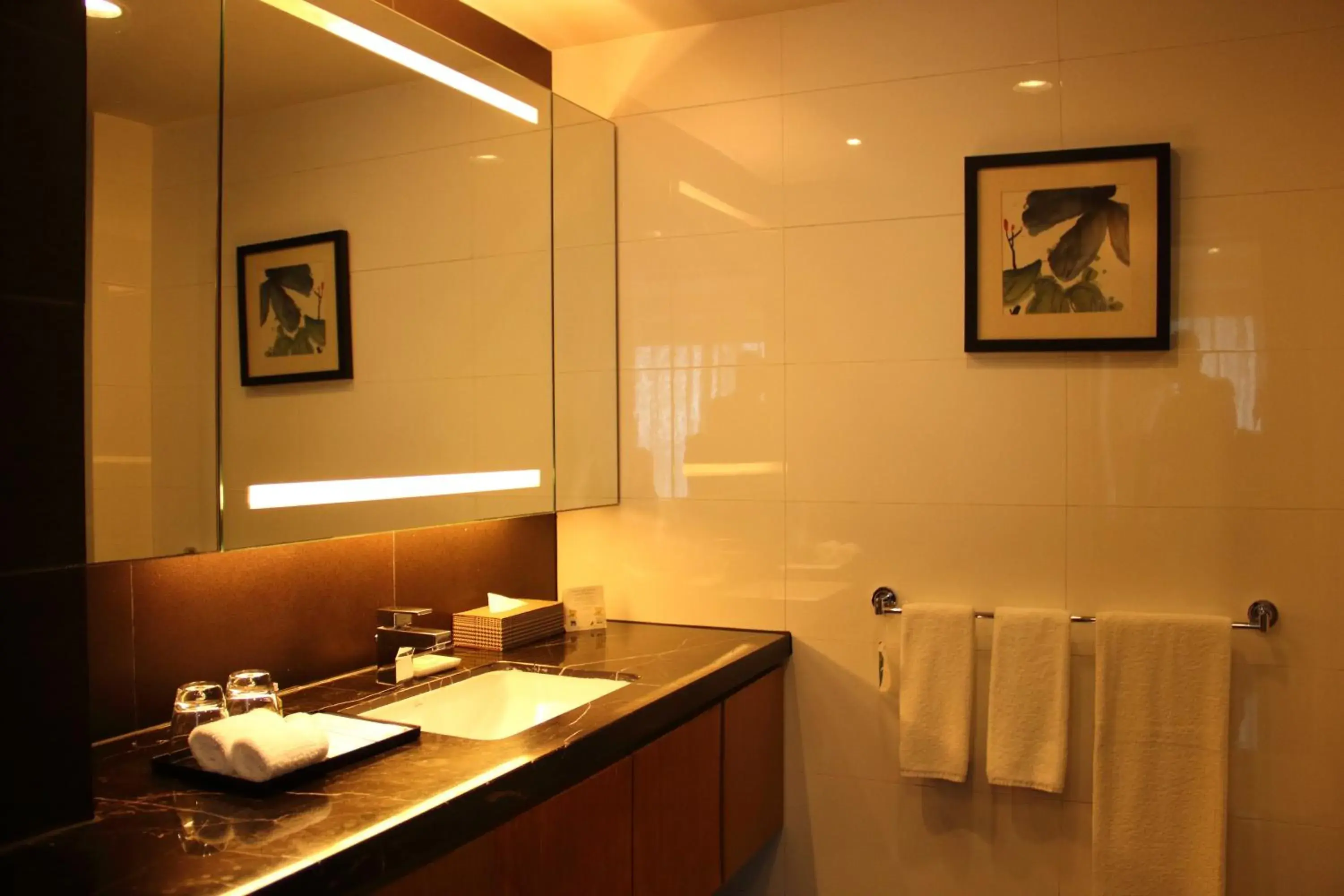 Bathroom in Somerset Riverview Chengdu