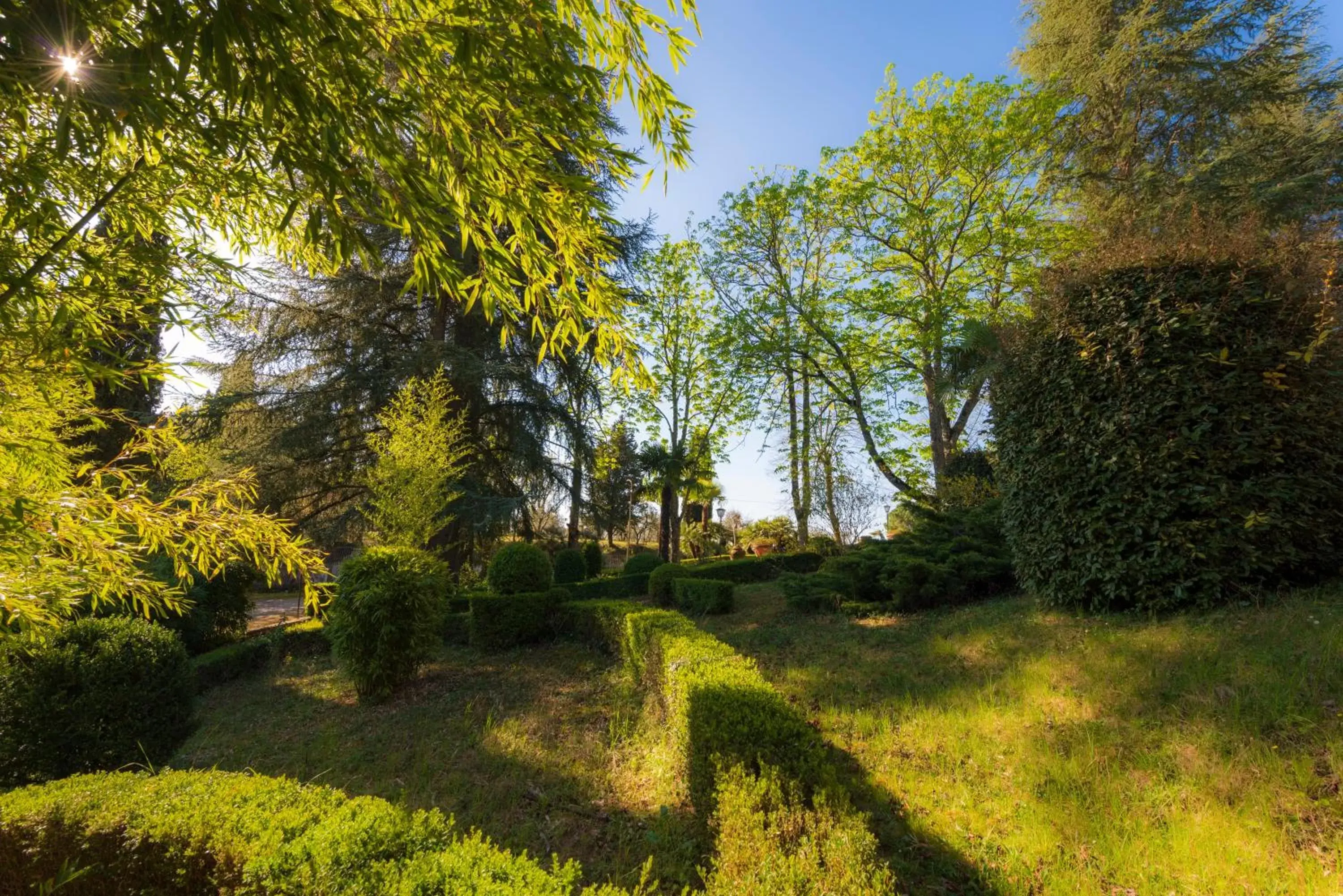 Garden in Villa Scacciapensieri Boutique Hotel