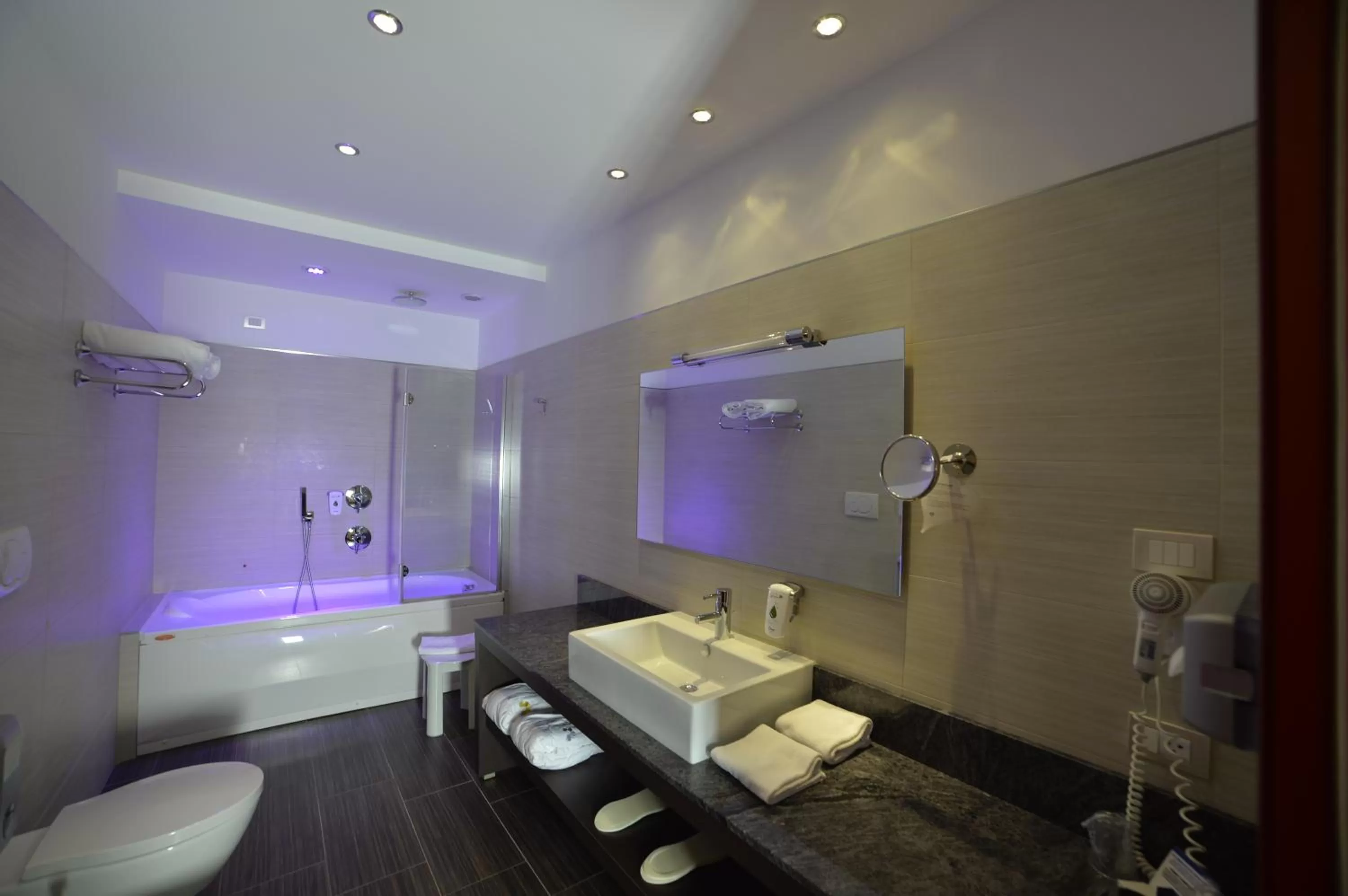 Toilet in Best Western Plus Soave Hotel