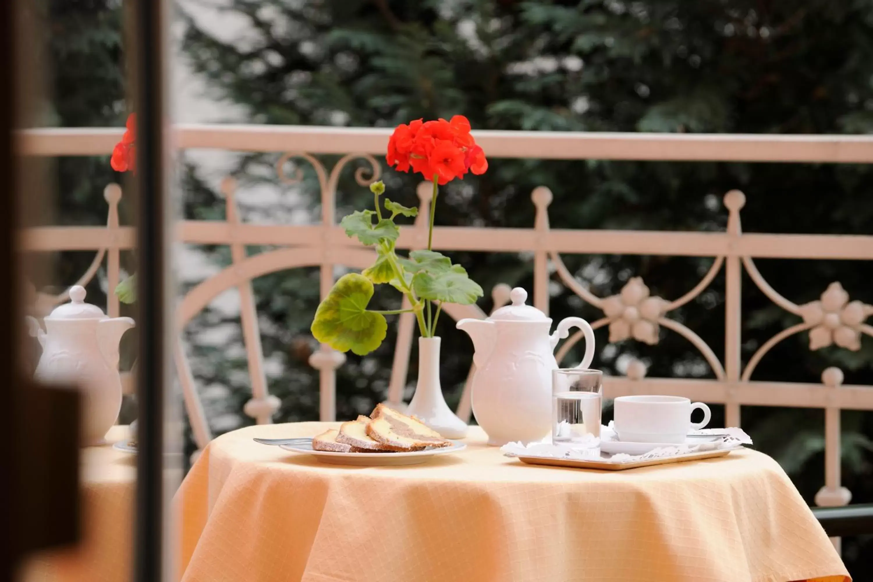 Balcony/Terrace in Hotel Scherer