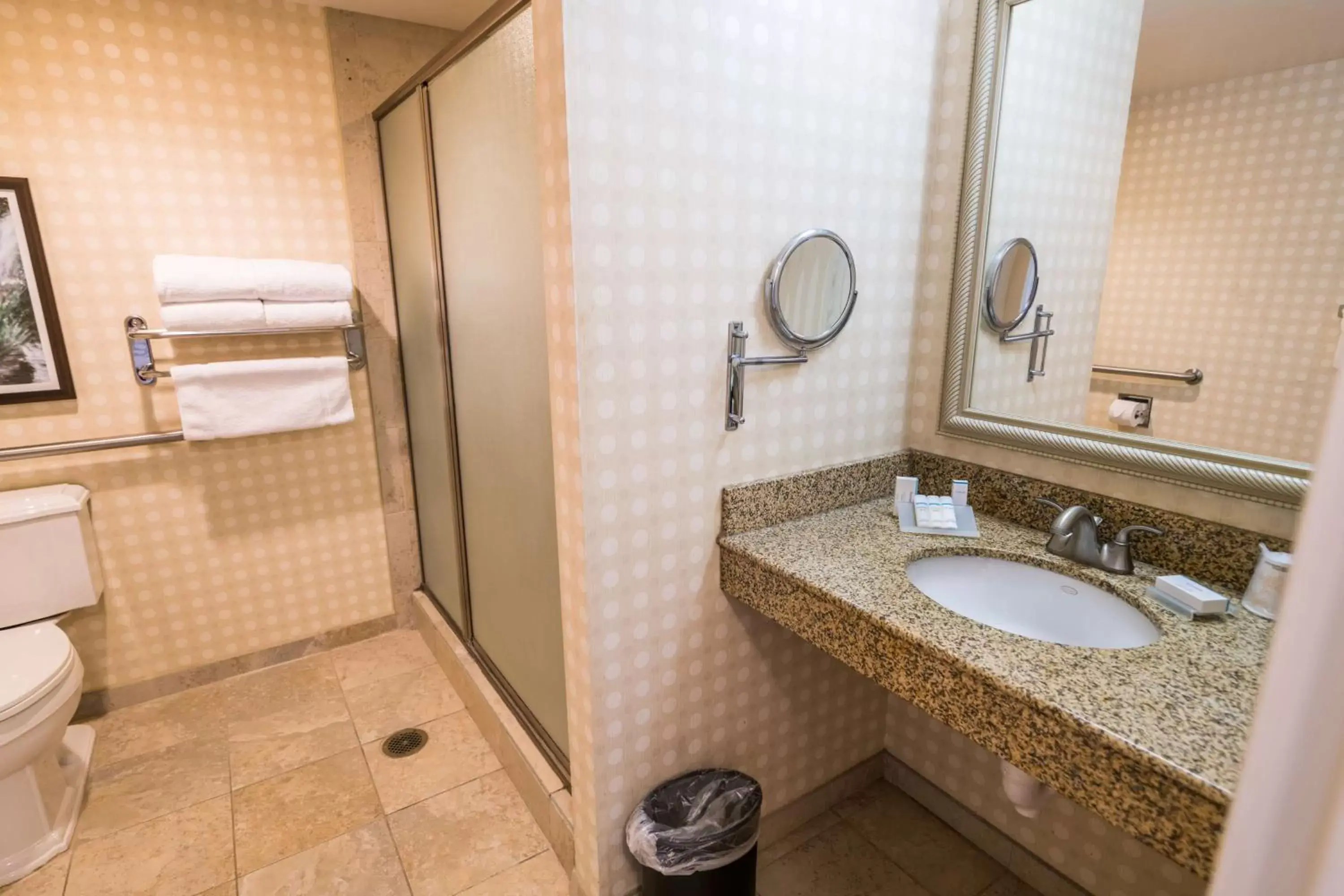 Bathroom in Hilton Garden Inn Bowling Green