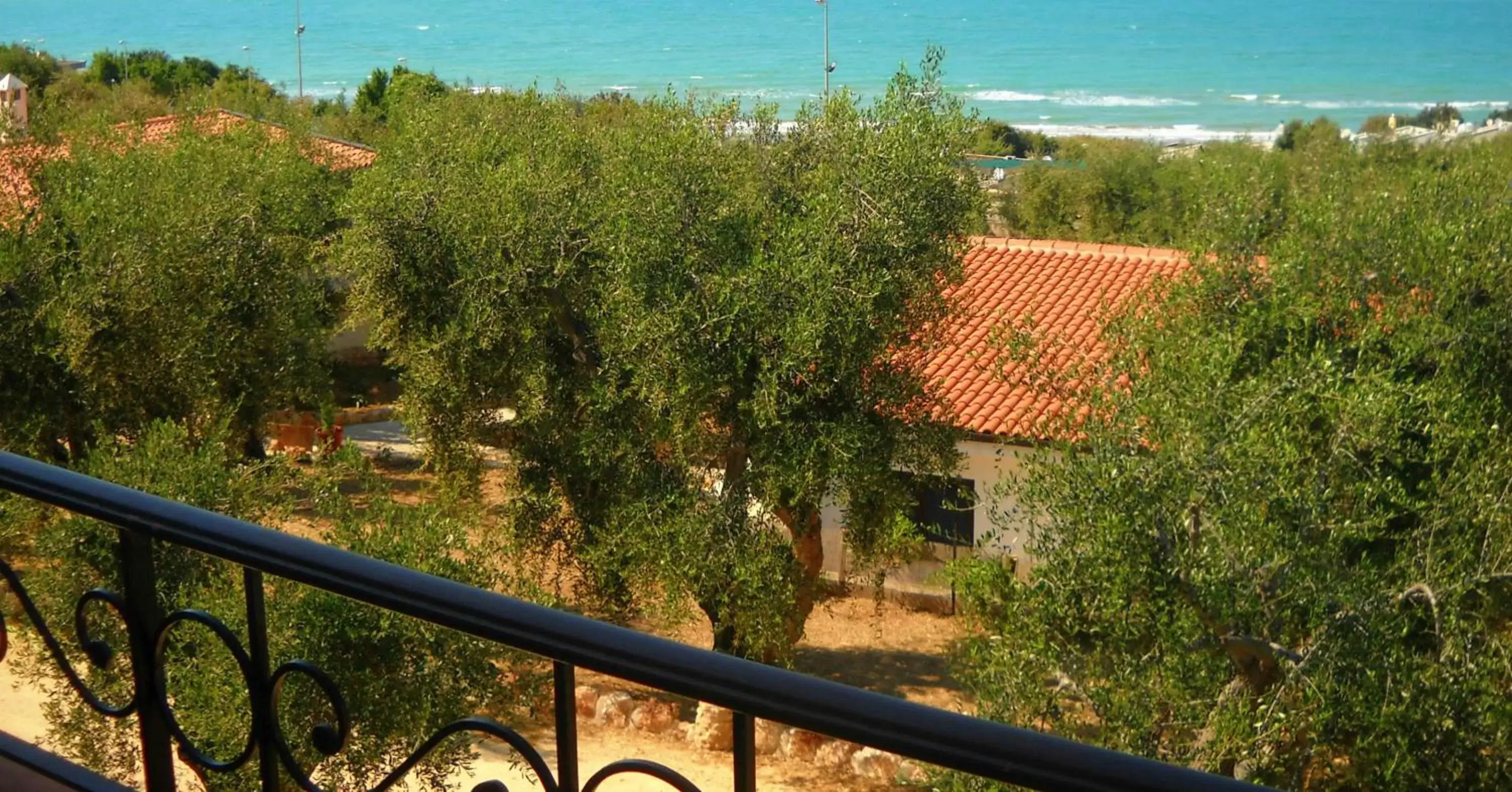 Balcony/Terrace in Zagare Residence
