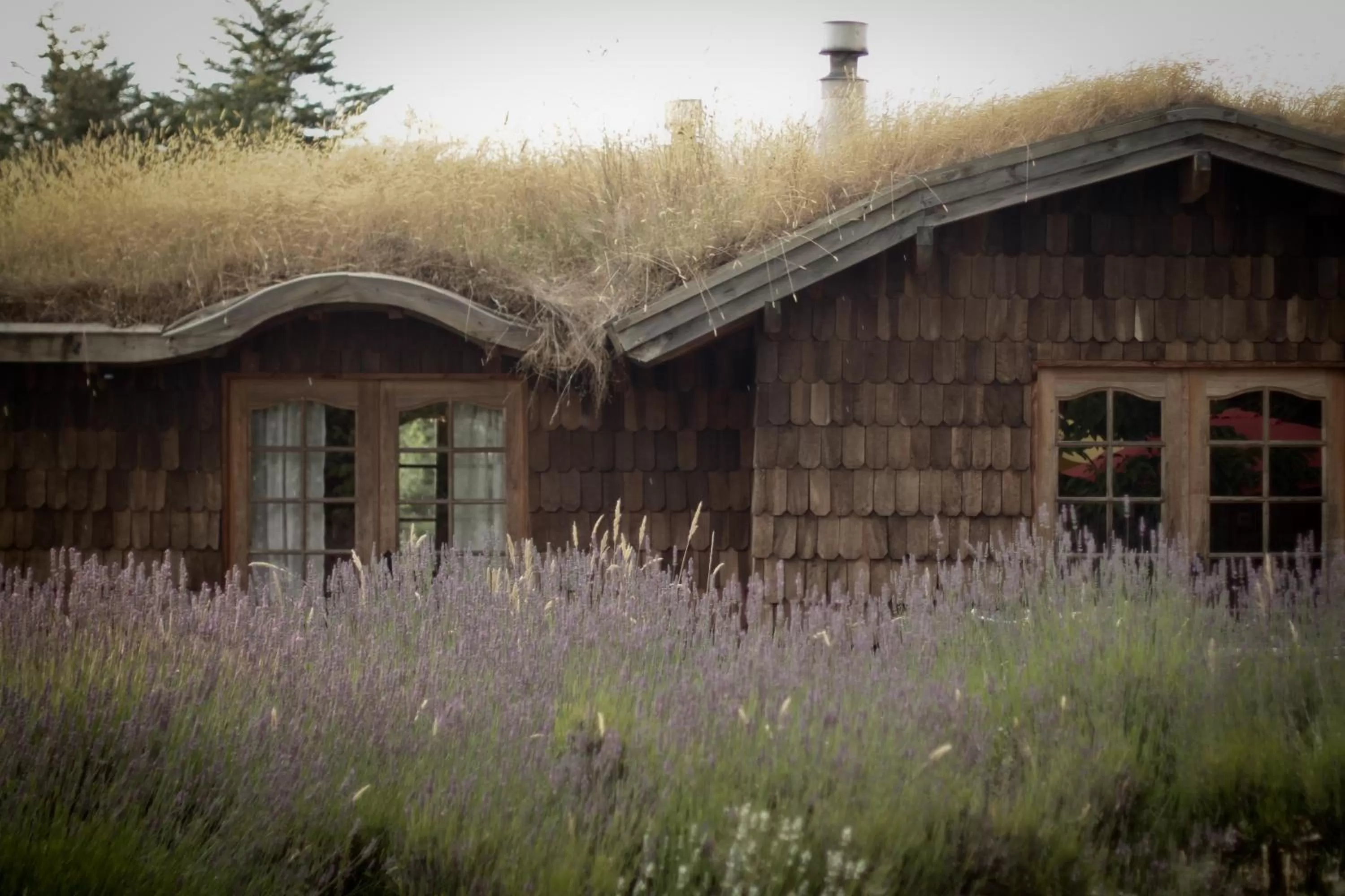Facade/entrance in Hostal Zapato Amarillo