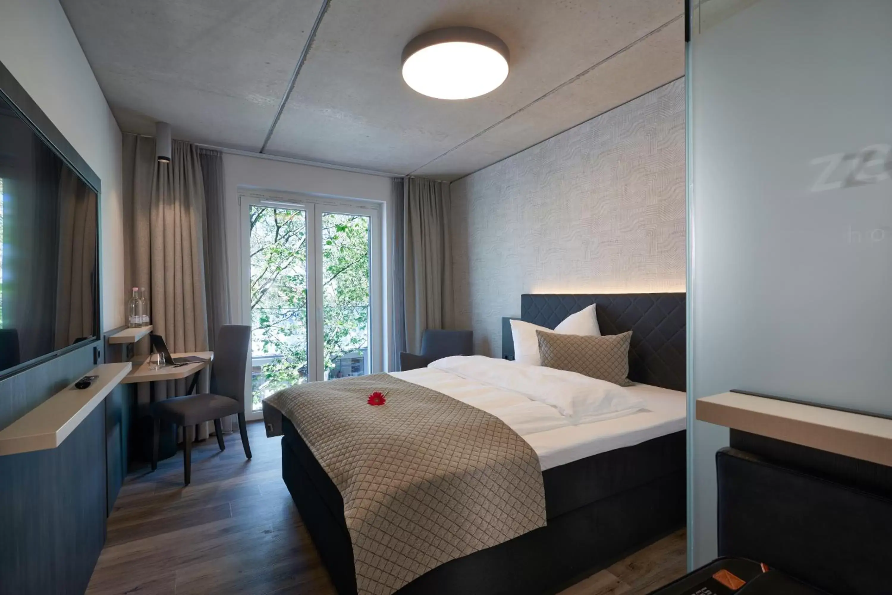 Double Room - single occupancy in Hotel Zeitgeist Double Room - single occupancy in Hotel Zeitgeist