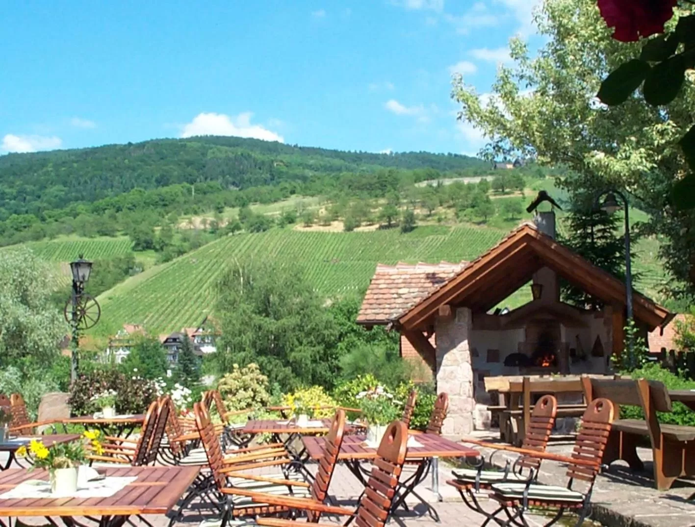 Garden in Naturhotel Holzwurm