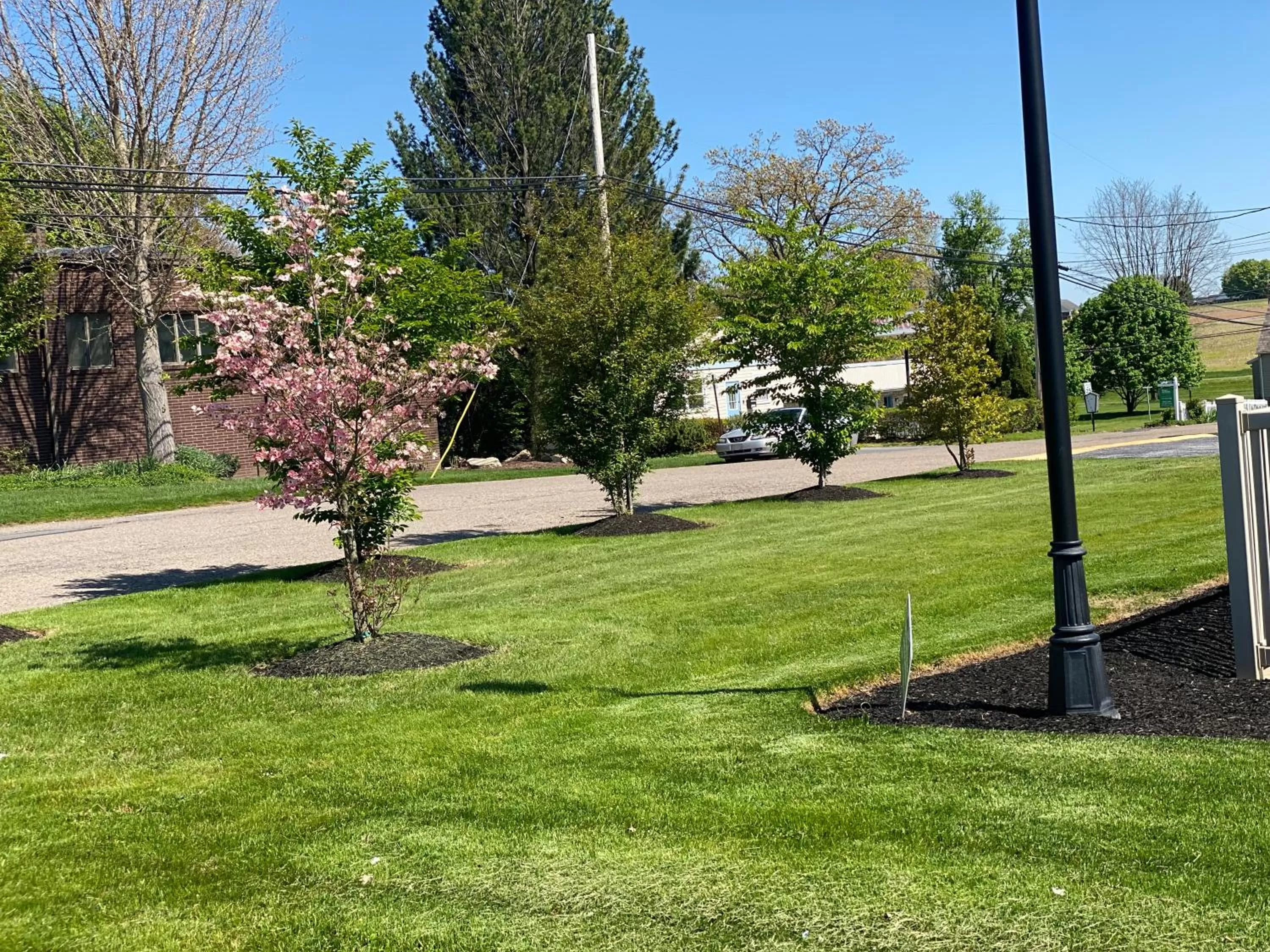 Garden in White Rose Motel - Hershey