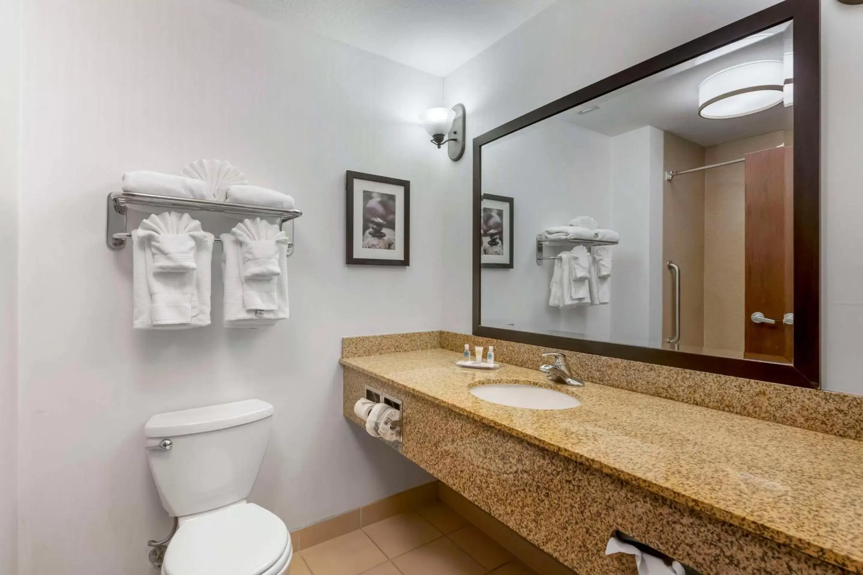Bedroom, Bathroom in Comfort Suites Conference Center Rapid City