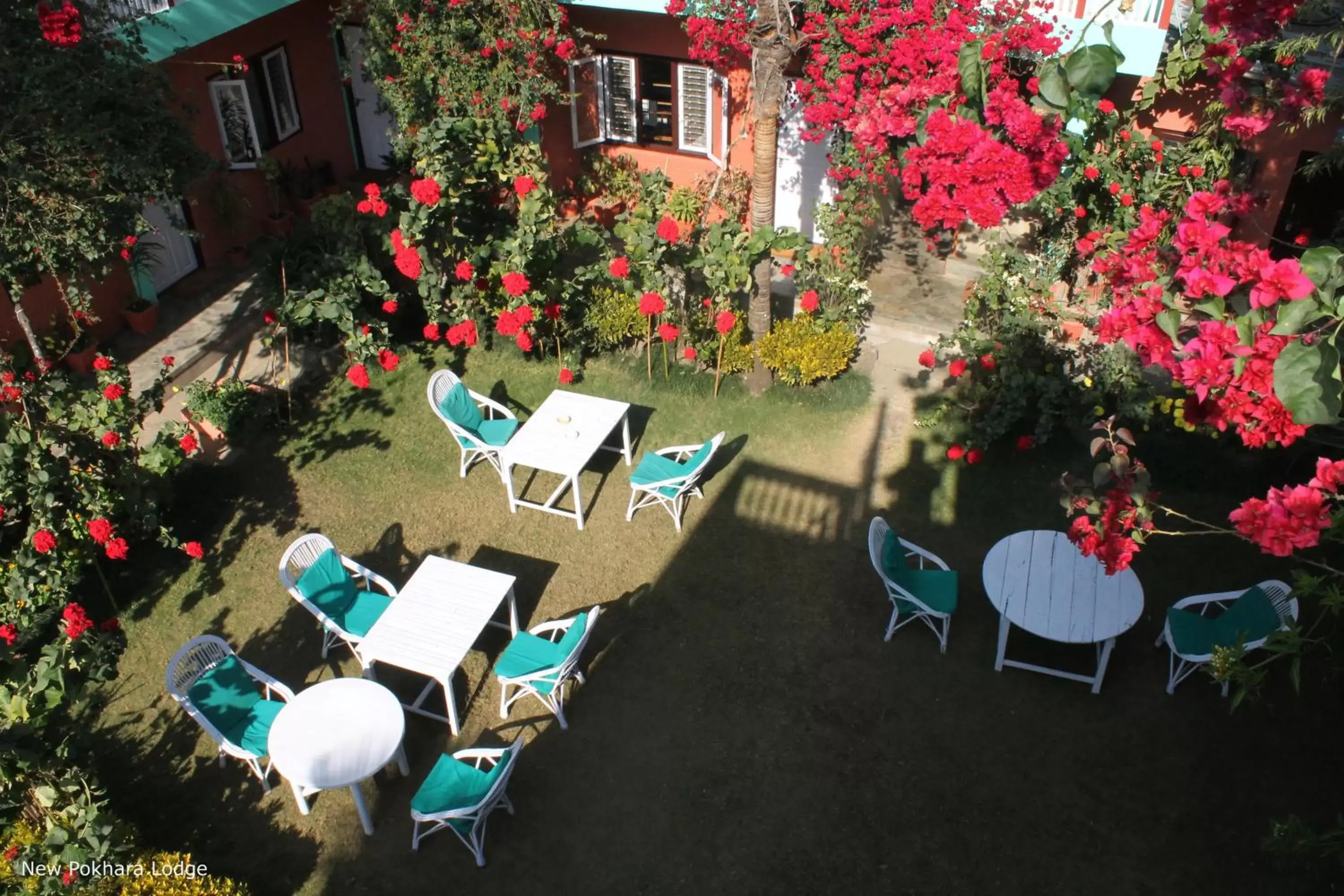 Garden, Bird's-eye View in New Pokhara Lodge - Lakeside, Pokhara Nepal