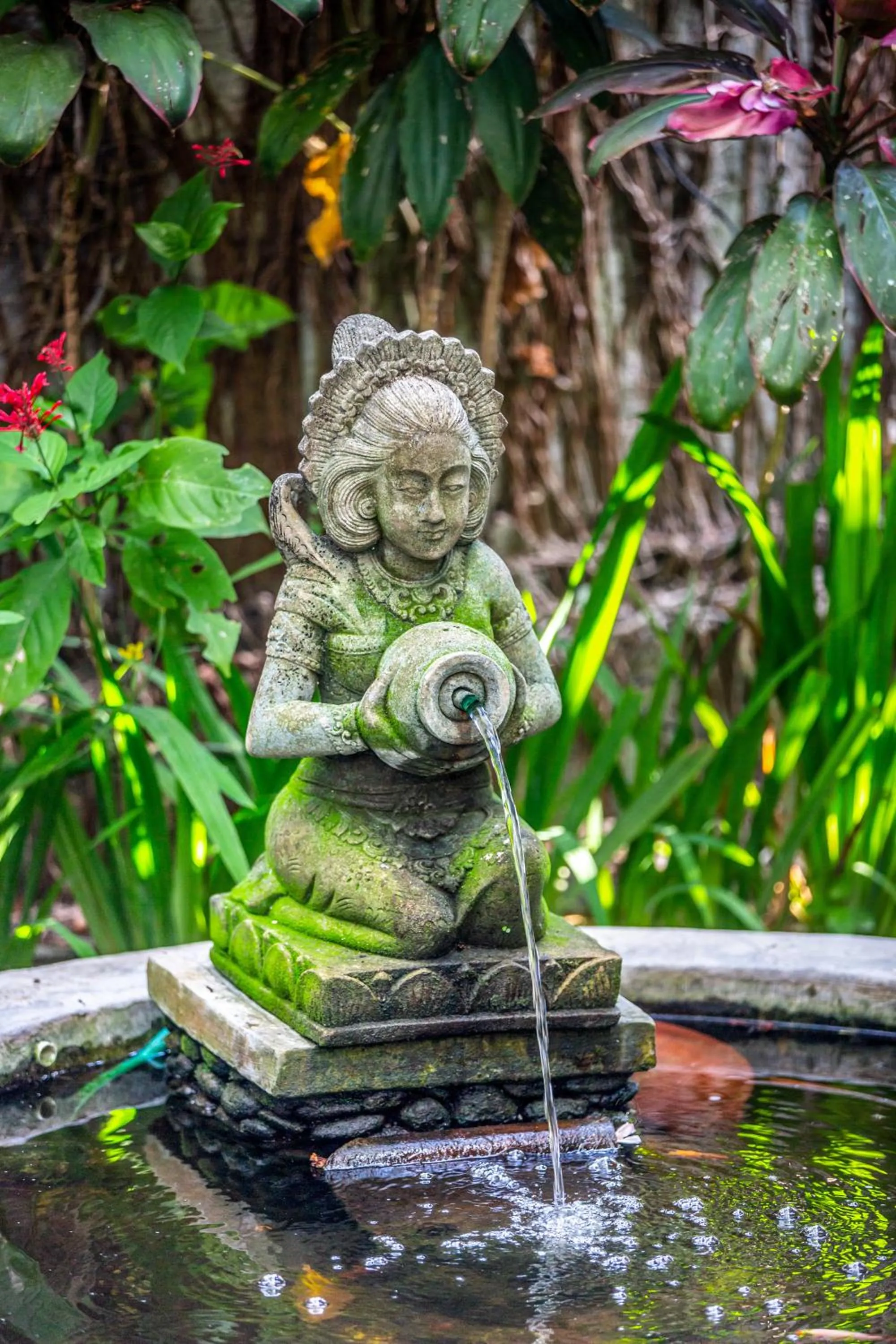 Garden in Swasti Eco Cottages