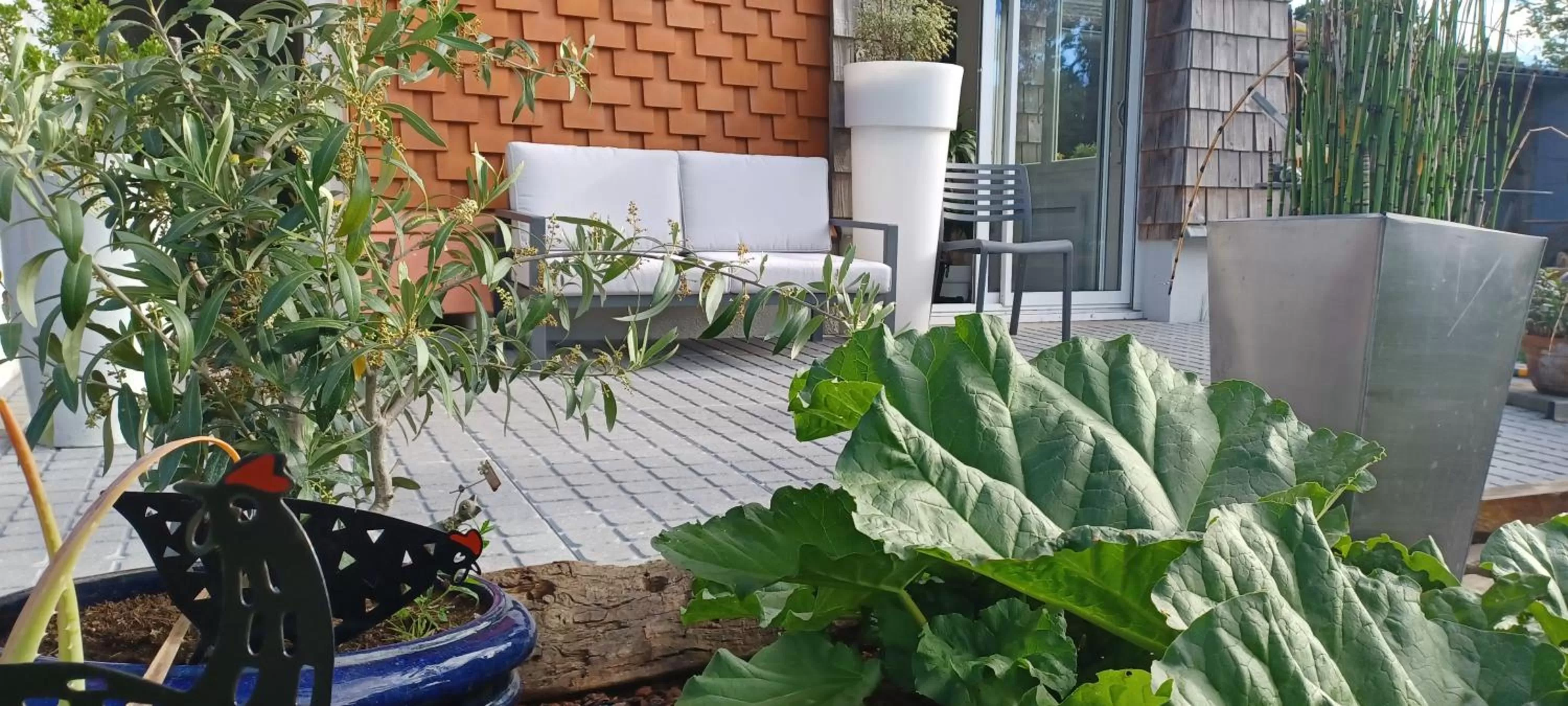 Garden in Lin et l'hôte