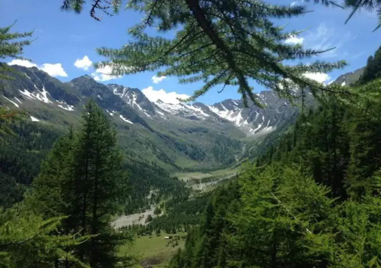 Natural landscape in Medieval Hamlet Malpertus