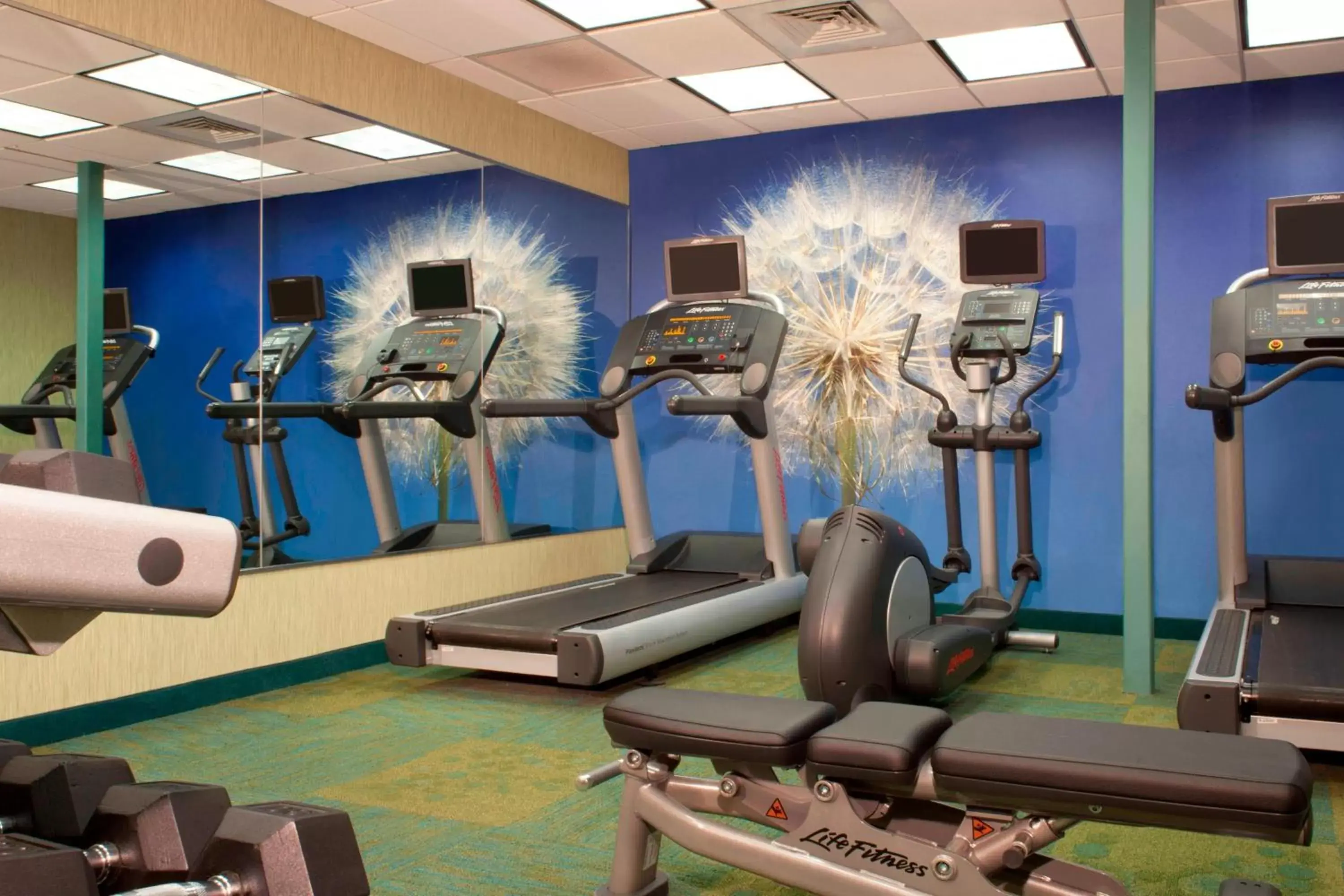 Fitness centre/facilities, Fitness Center/Facilities in SpringHill Suites Gainesville