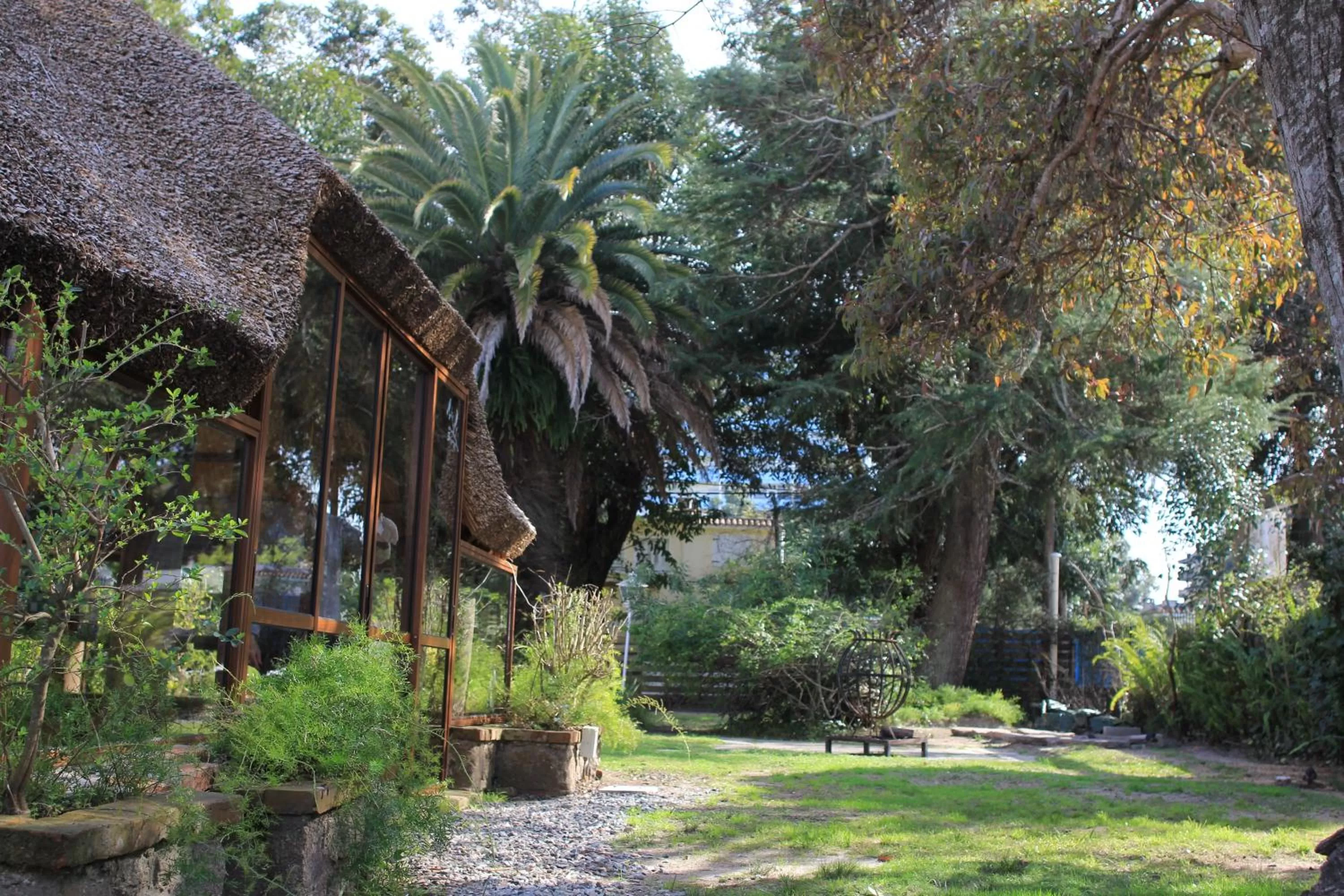 Patio, Garden in Santoral Restaurante y Posada Pet Friendly