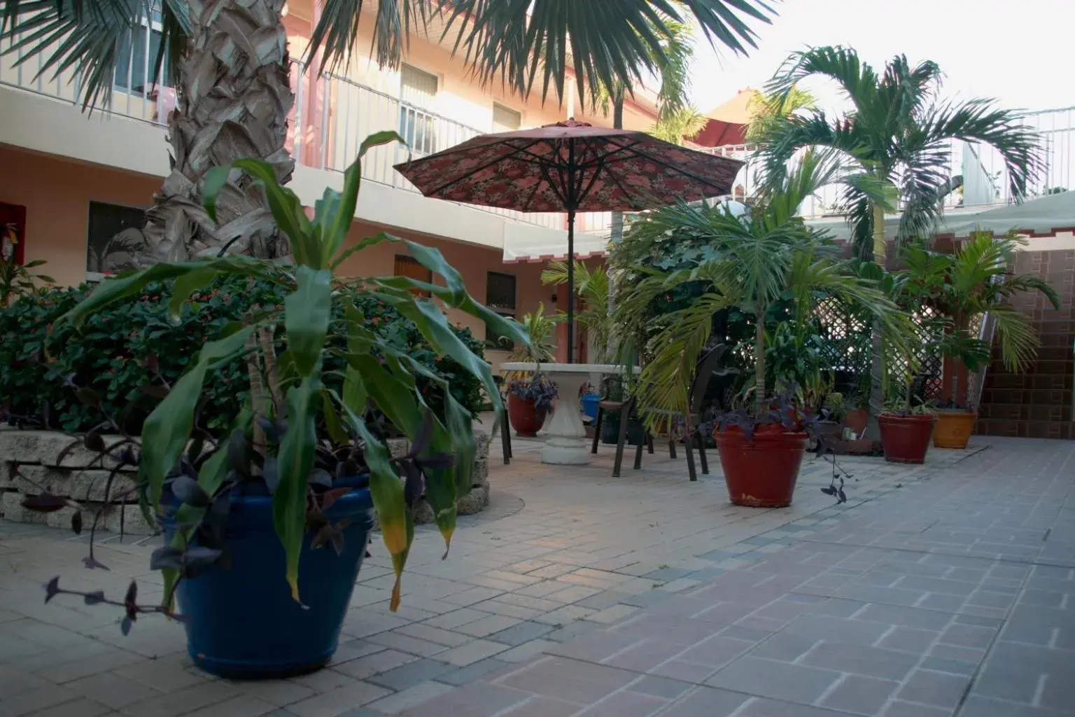 Garden in Lago Mar Motel and Apartments