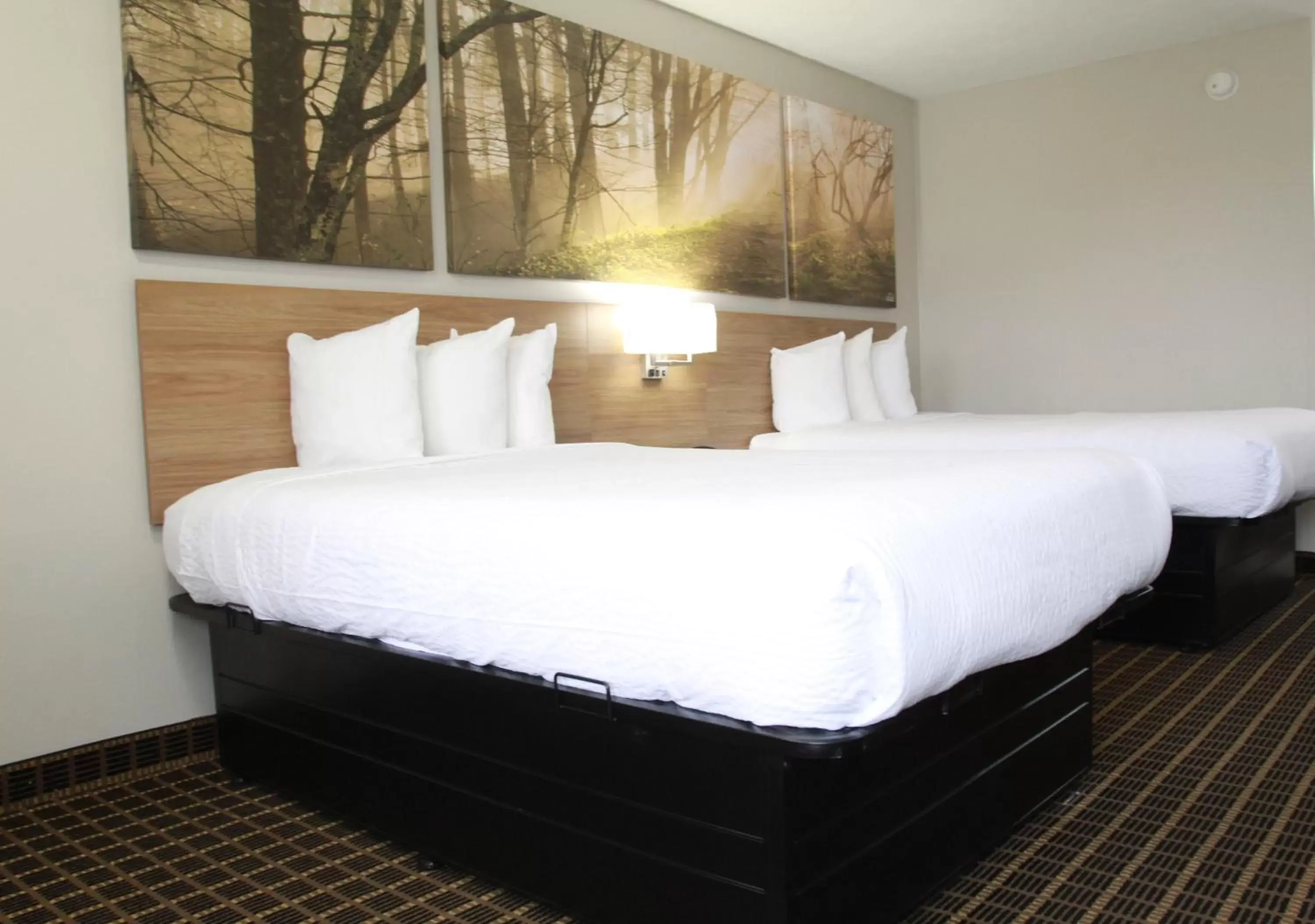 Bed in Days Inn by Wyndham Forest