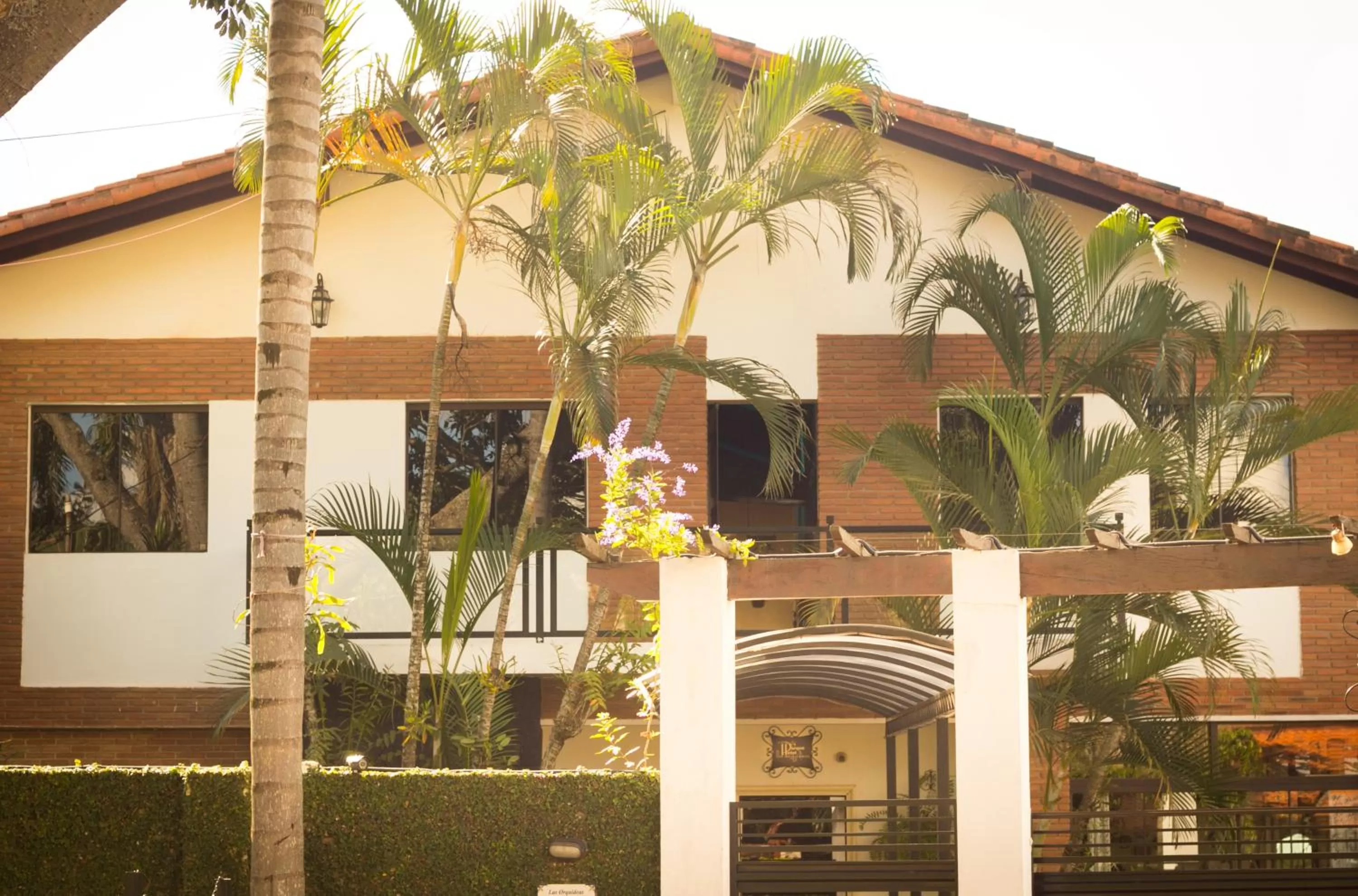 View (from property/room) in Las Orquideas Parque Hotel