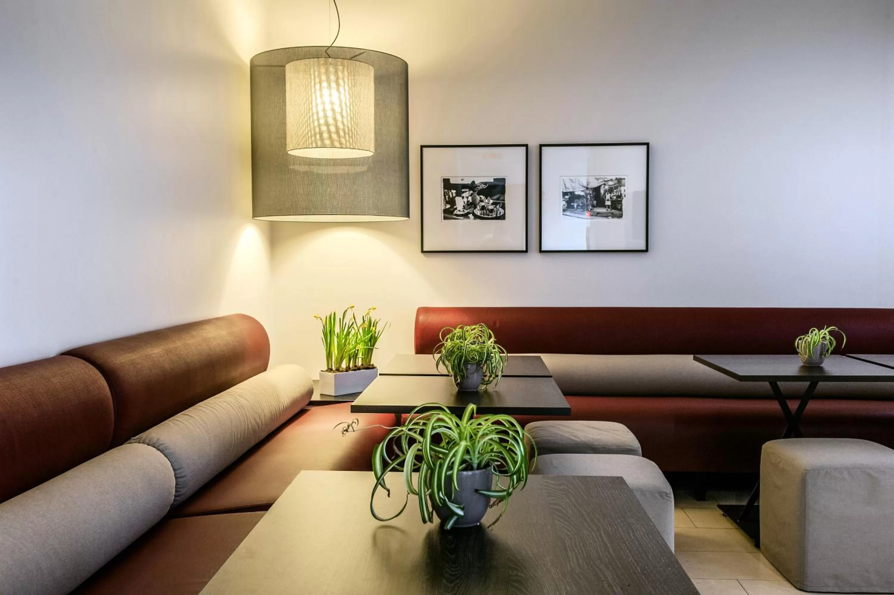 Communal lounge/ TV room in Hotel Casa Poli