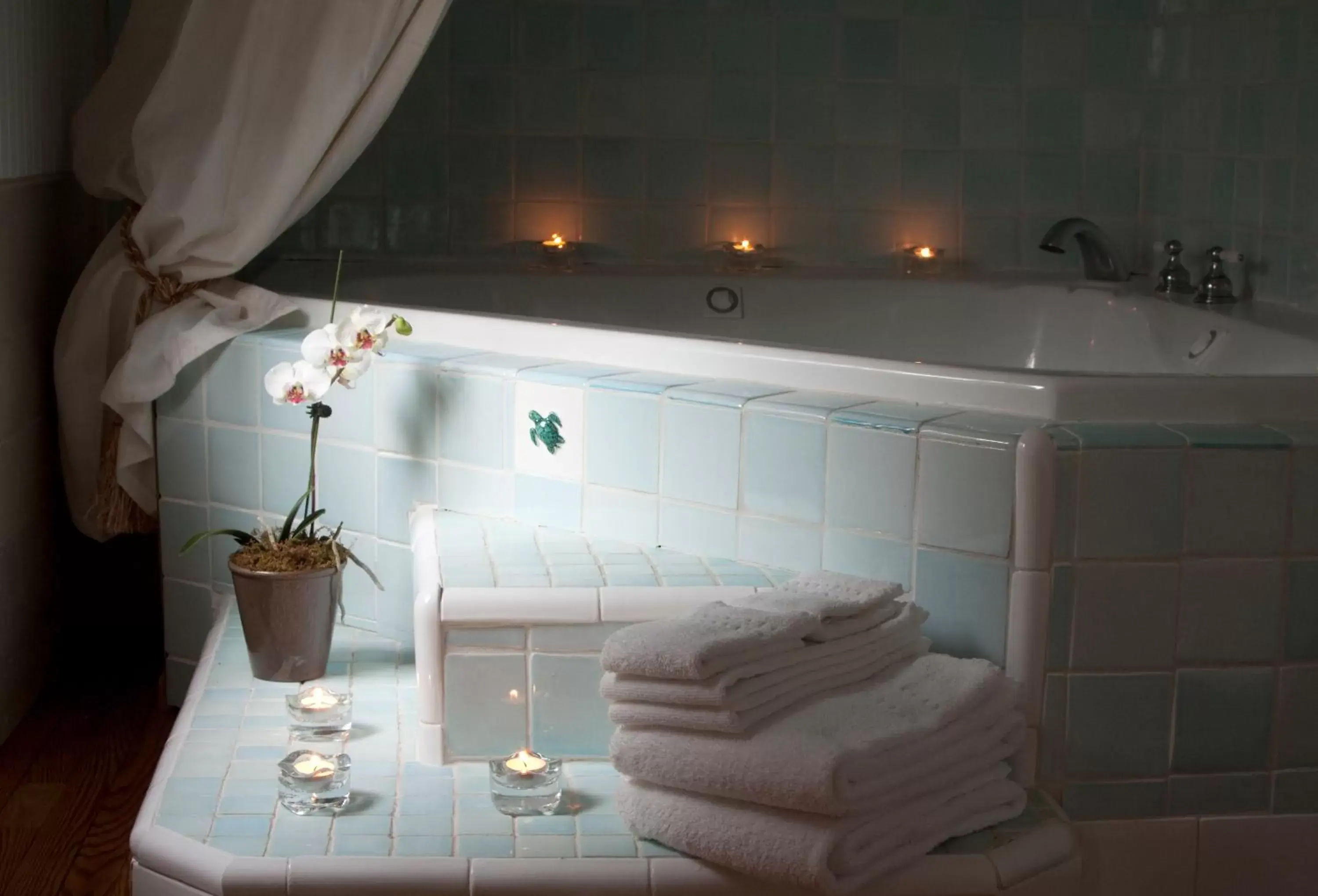 Hot Tub, Bathroom in Scranton Seahorse Inn