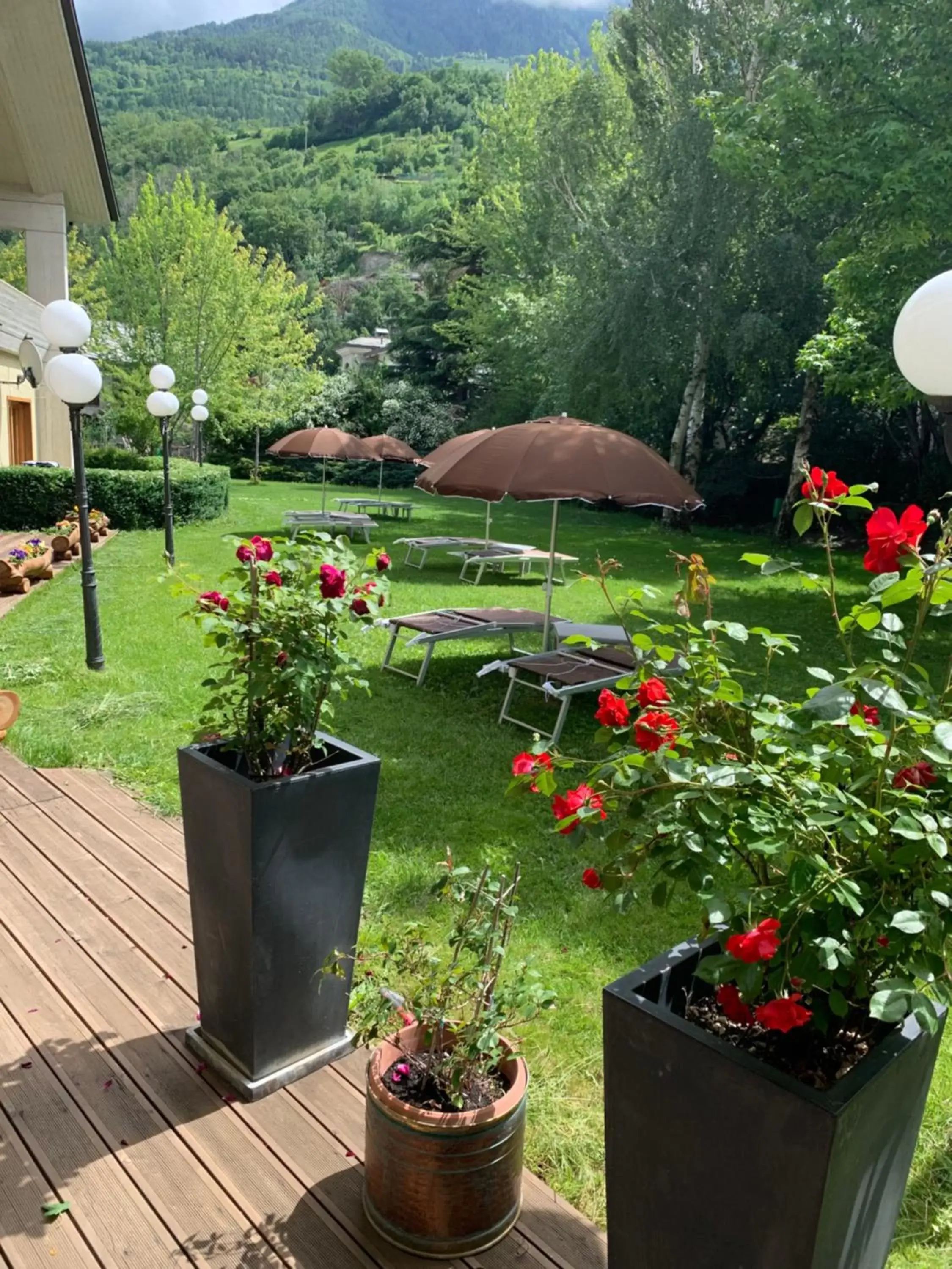 Garden view, Garden in Hotel Miage