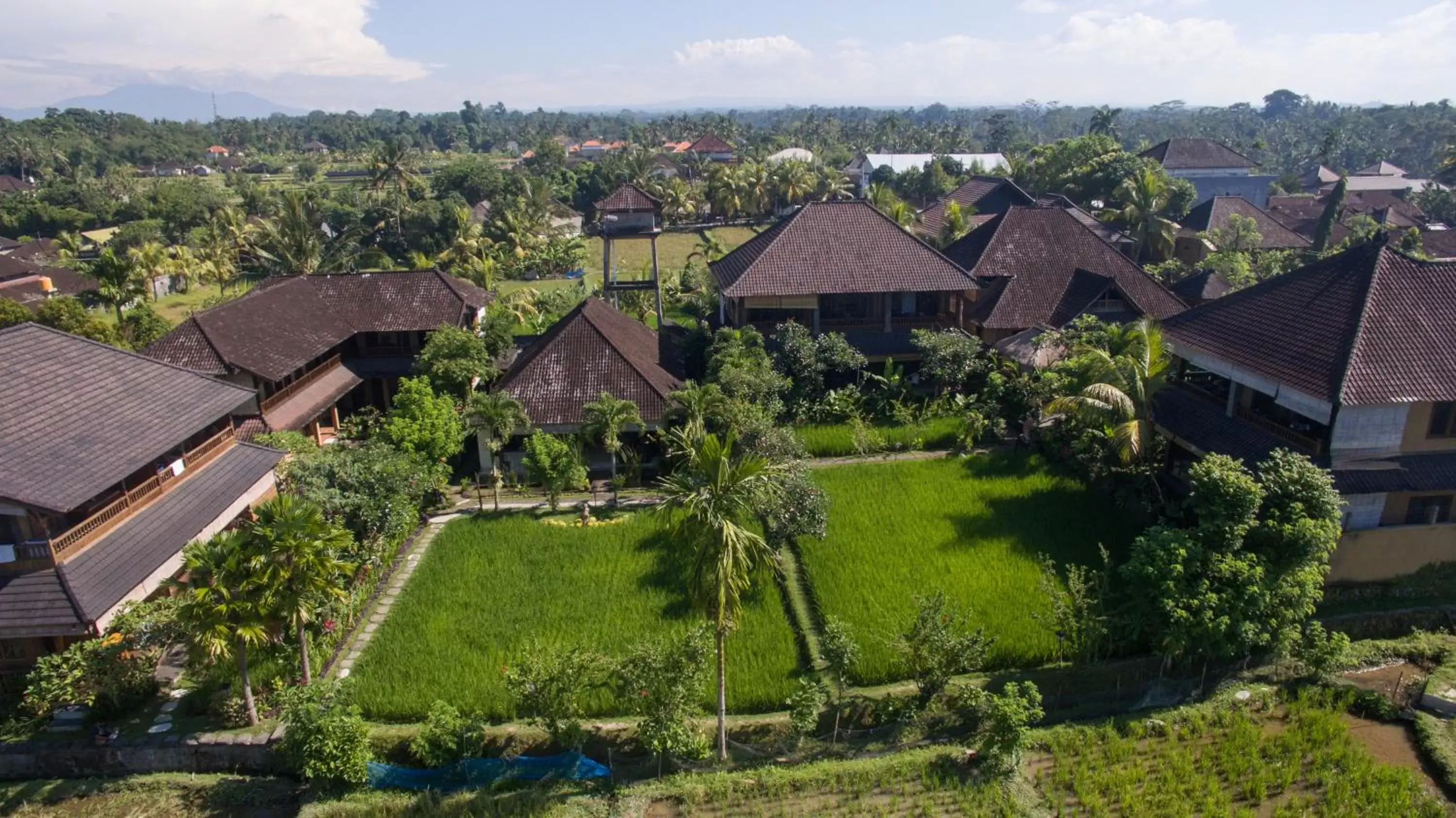 Garden, Bird's-eye View in Bliss Ubud Spa Resort