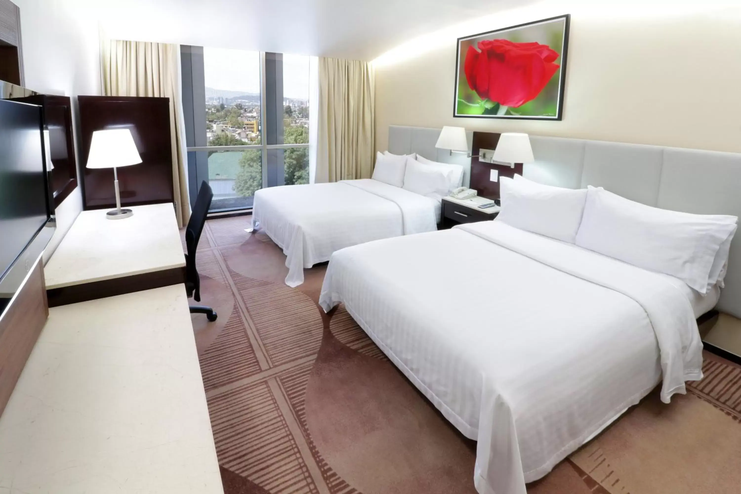 Photo of the whole room in Holiday Inn Hotel & Suites Mexico Medica Sur, an IHG Hotel