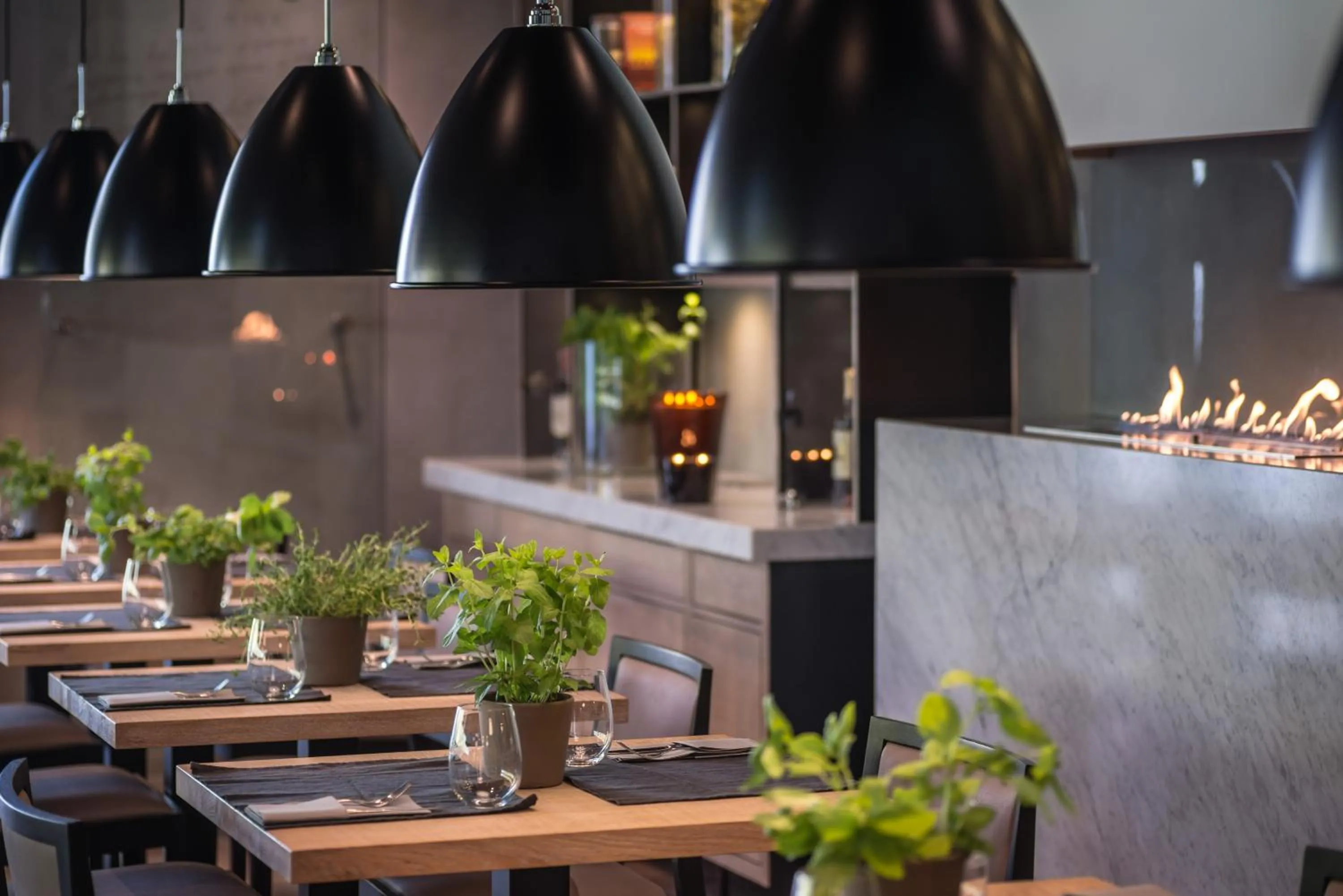 Restaurant/places to eat in Ilonn Hotel