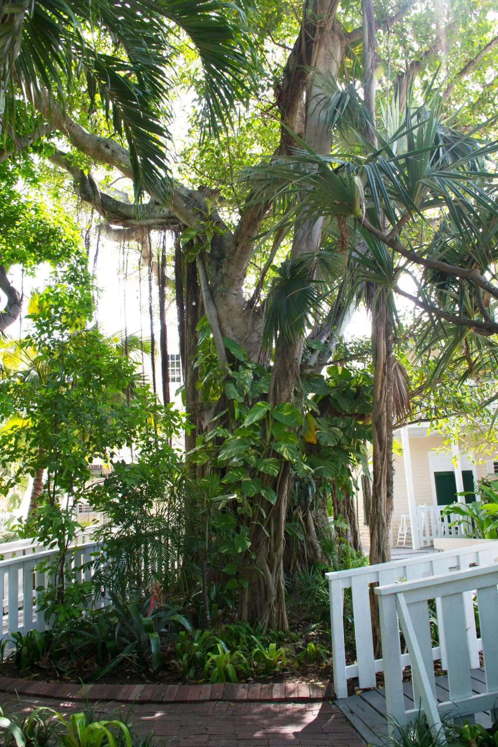 Garden in Duval House
