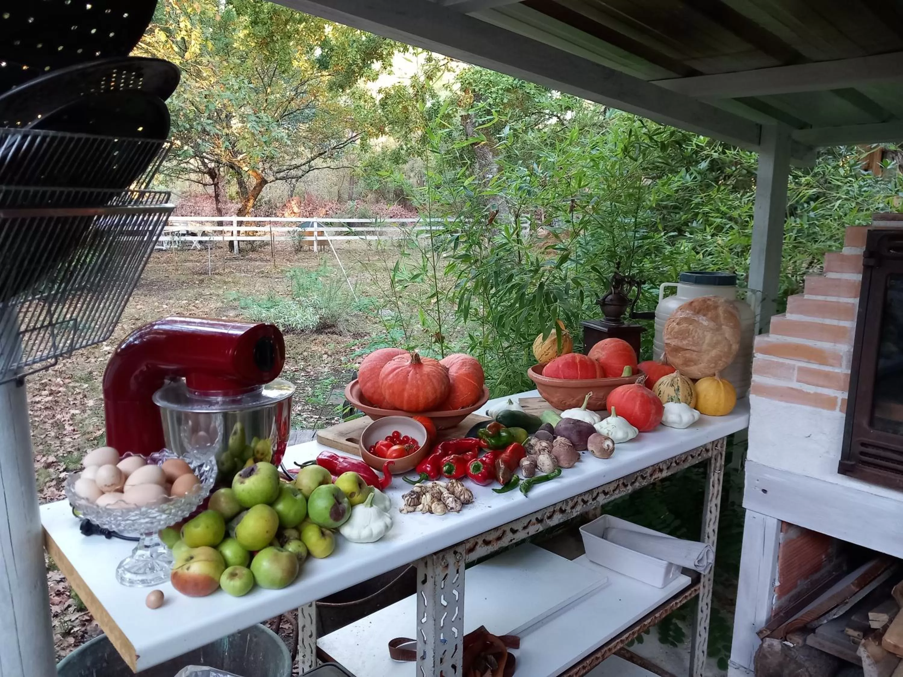 Les oiseaux voyageurs