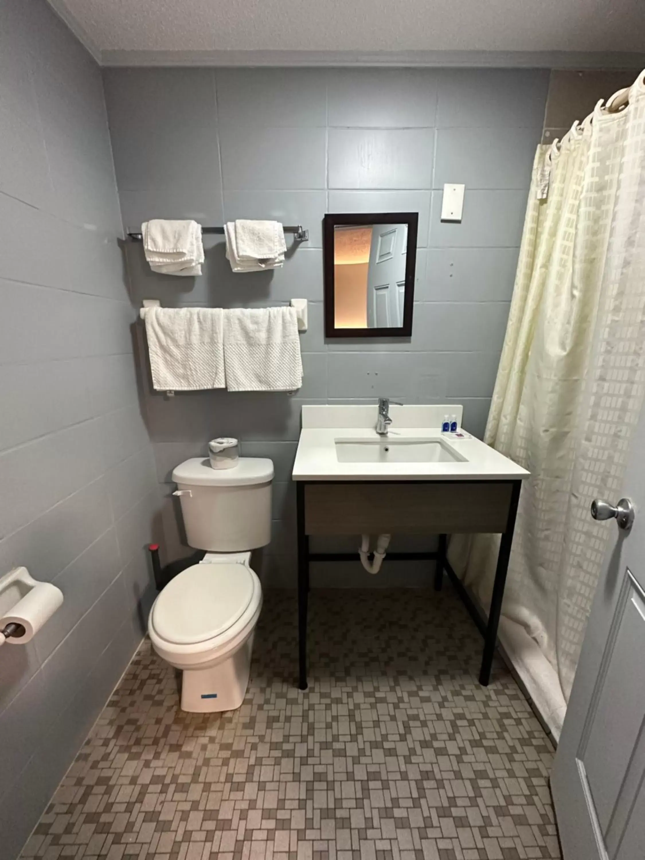 Bathroom in Rodeway Inn & Suites