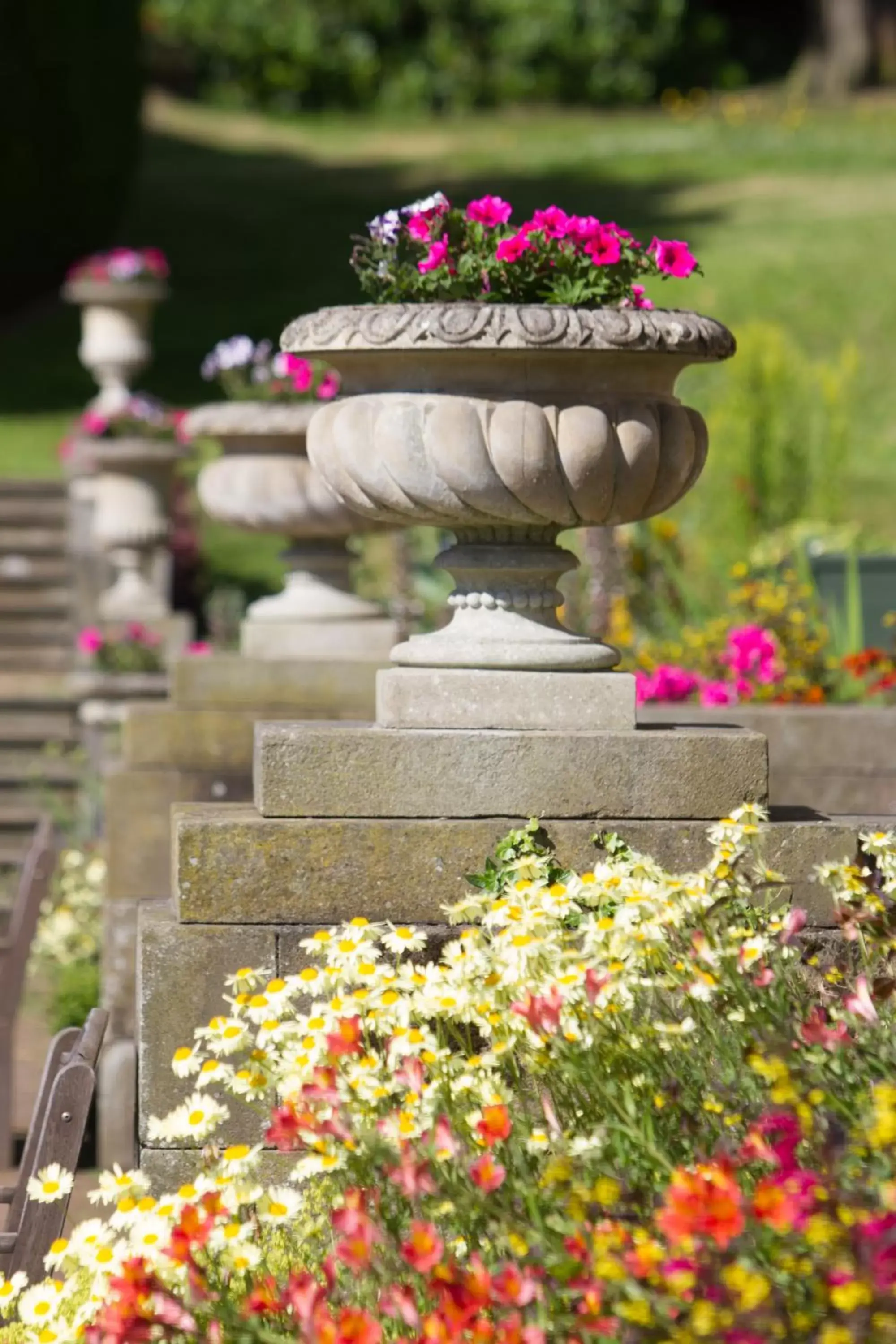 Garden in Wortley Hall Sheffield