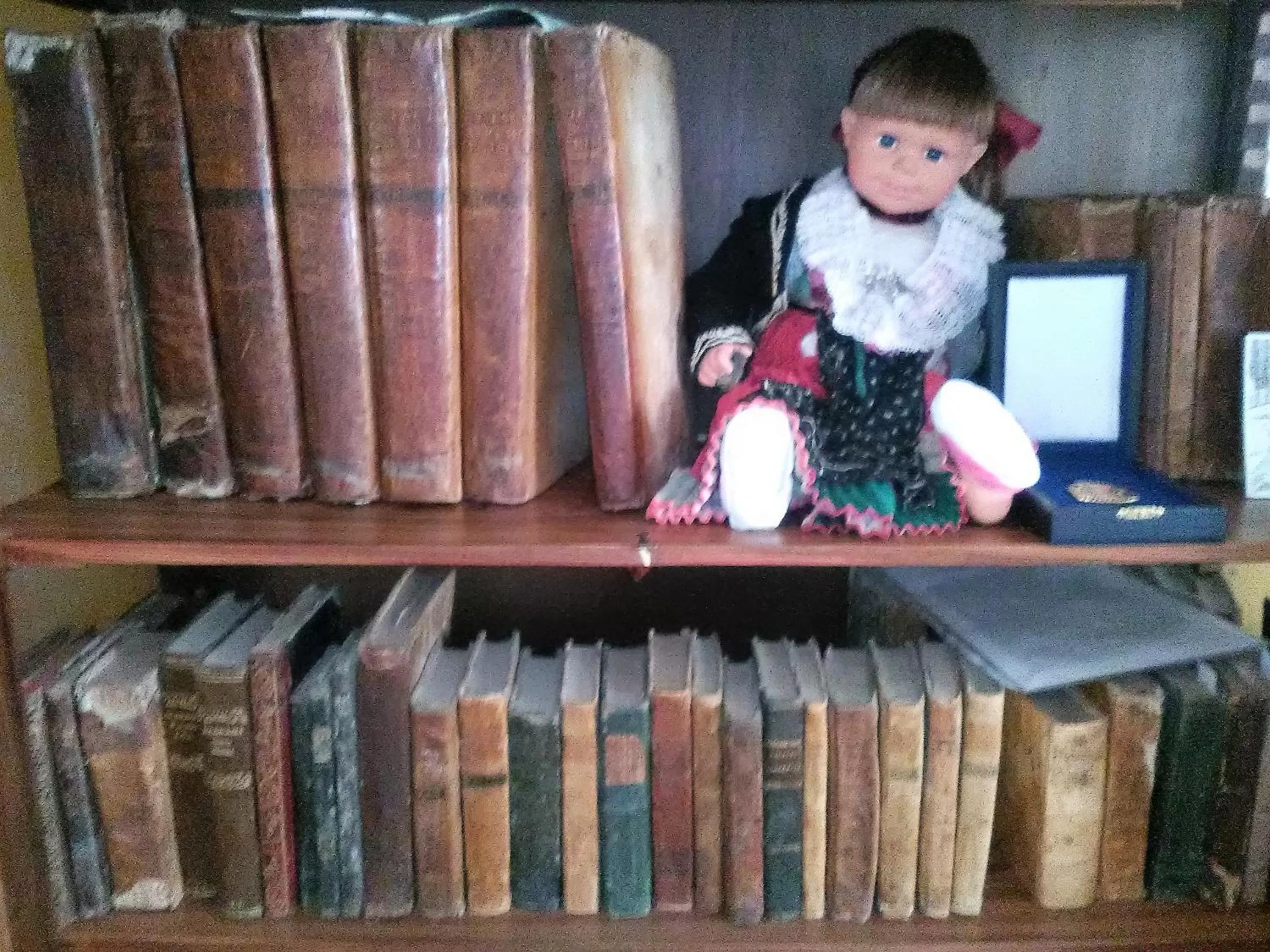 Library in Casamuseo del Risorgimento