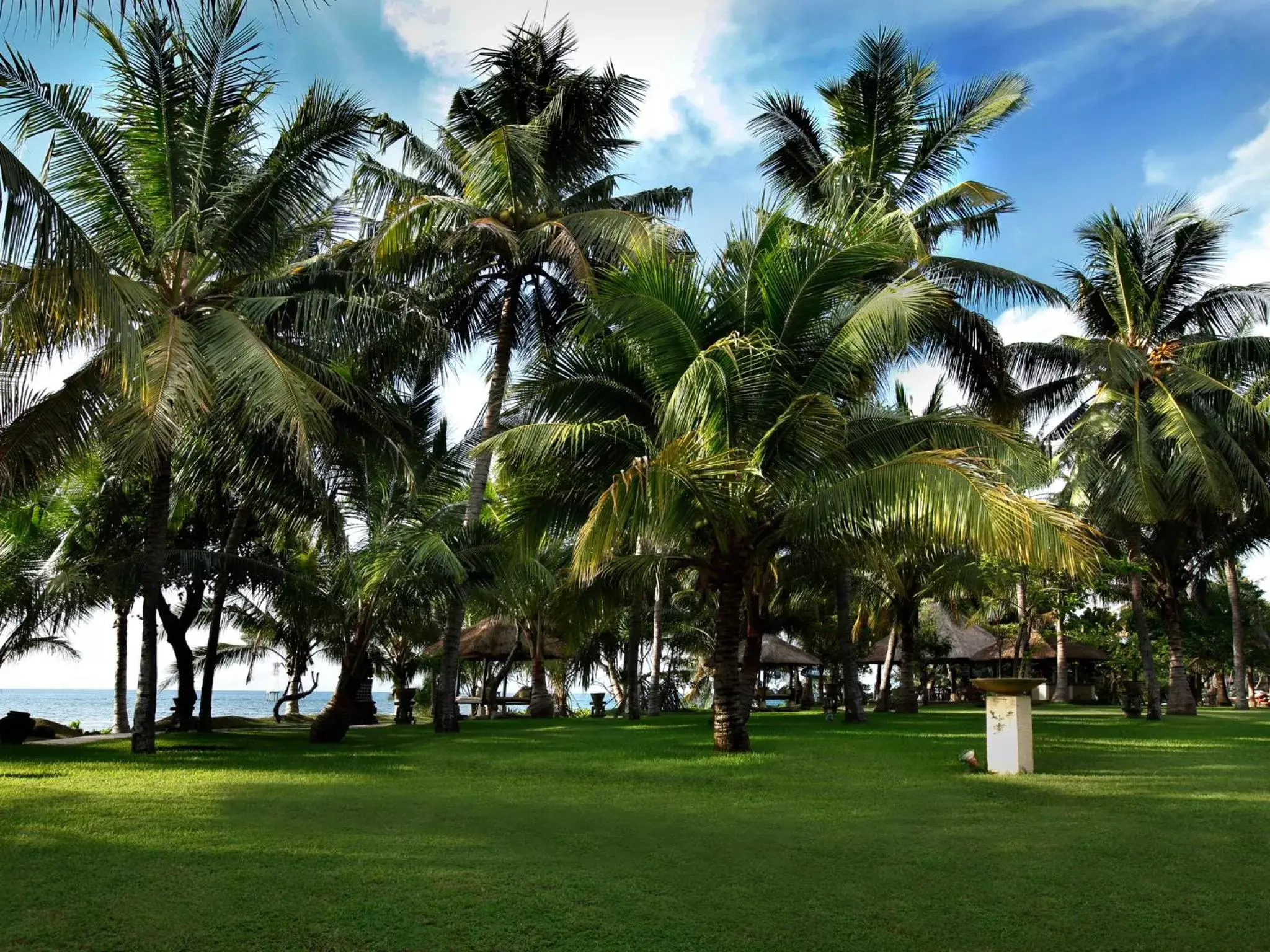 Natural landscape, Garden in Puri Bagus Lovina