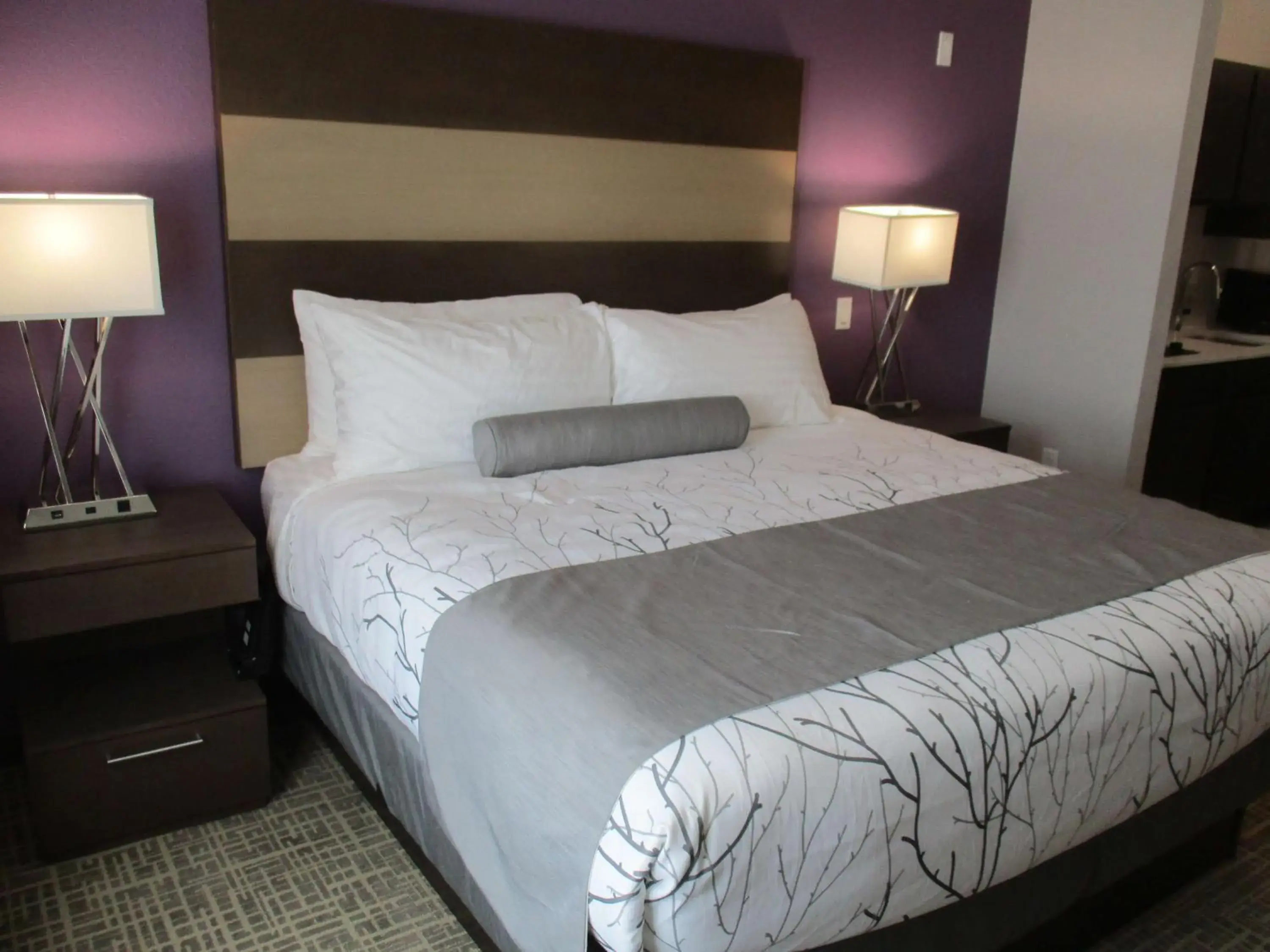 Photo of the whole room, Bed in Best Western Plus Buda Austin Inn & Suites