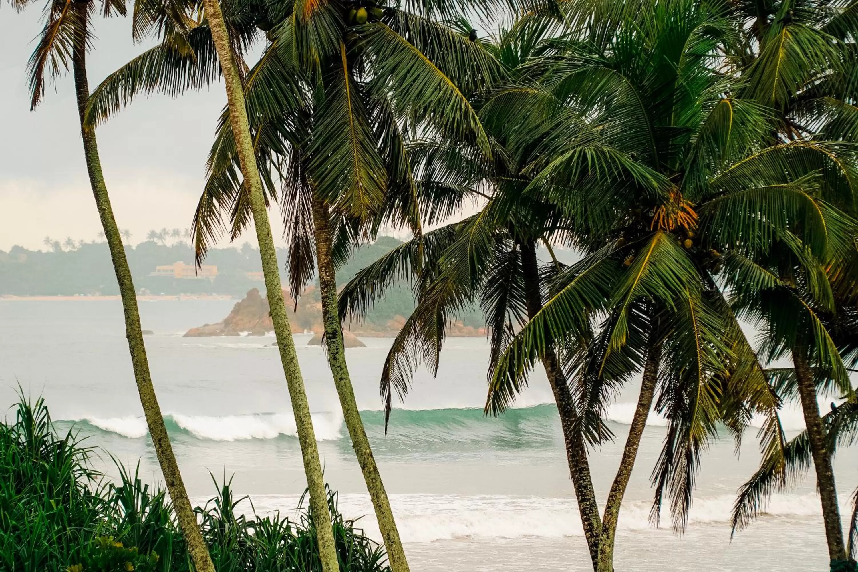 Natural landscape in Lucky's Surf Camp