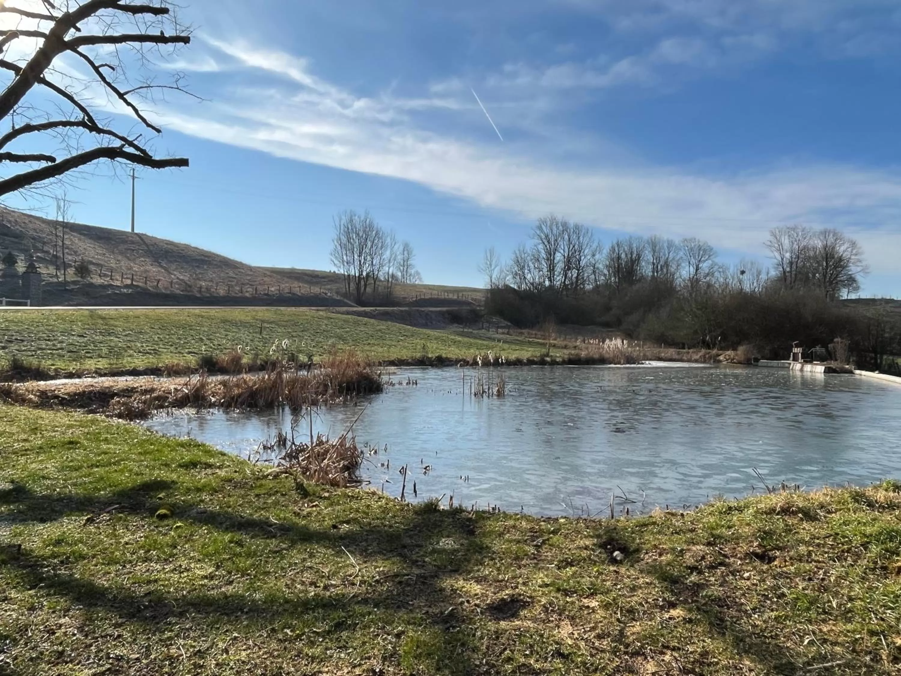 Garden view in Hôtel En Tilleul