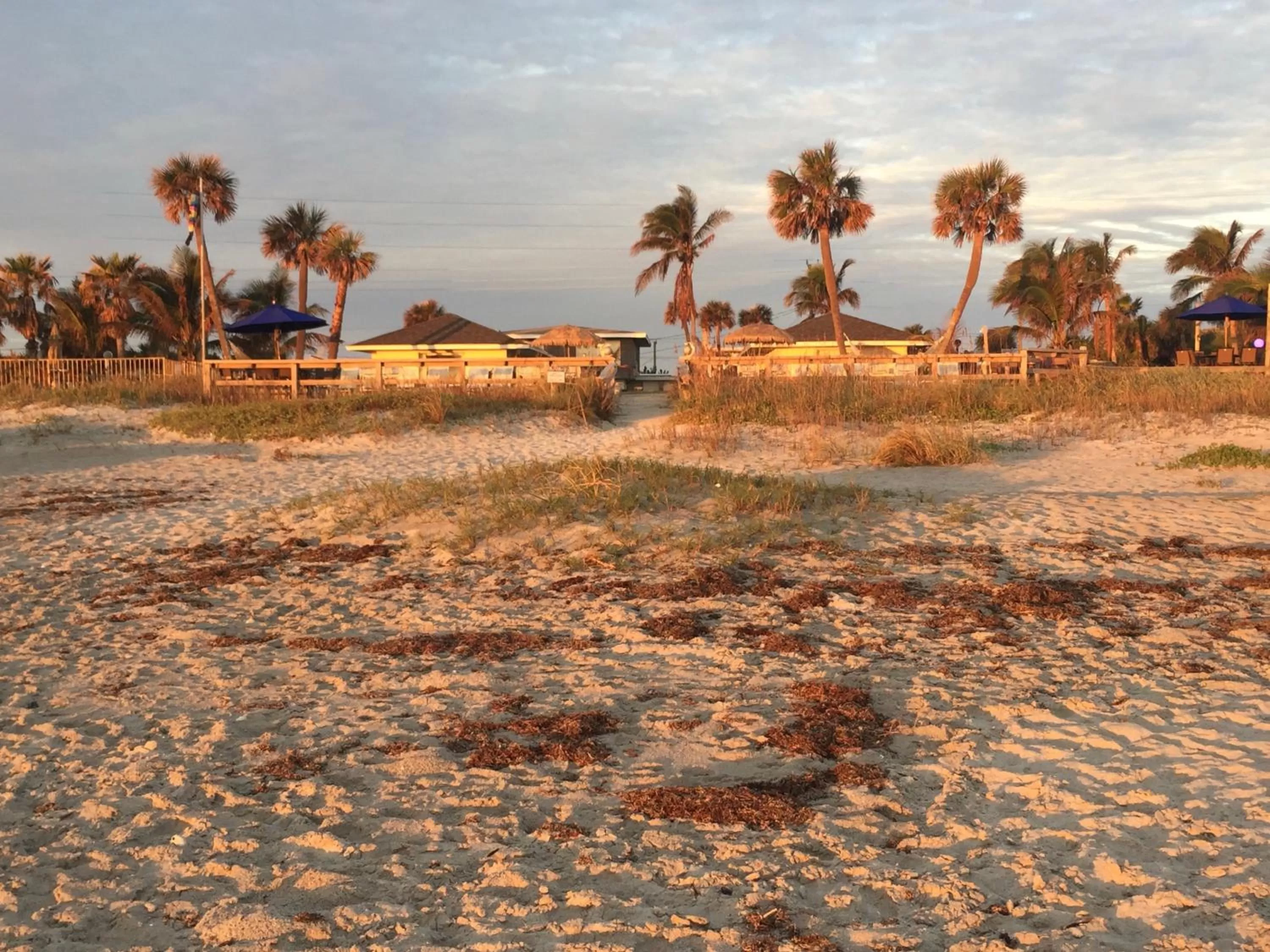 Other in Surf Studio Beach Resort