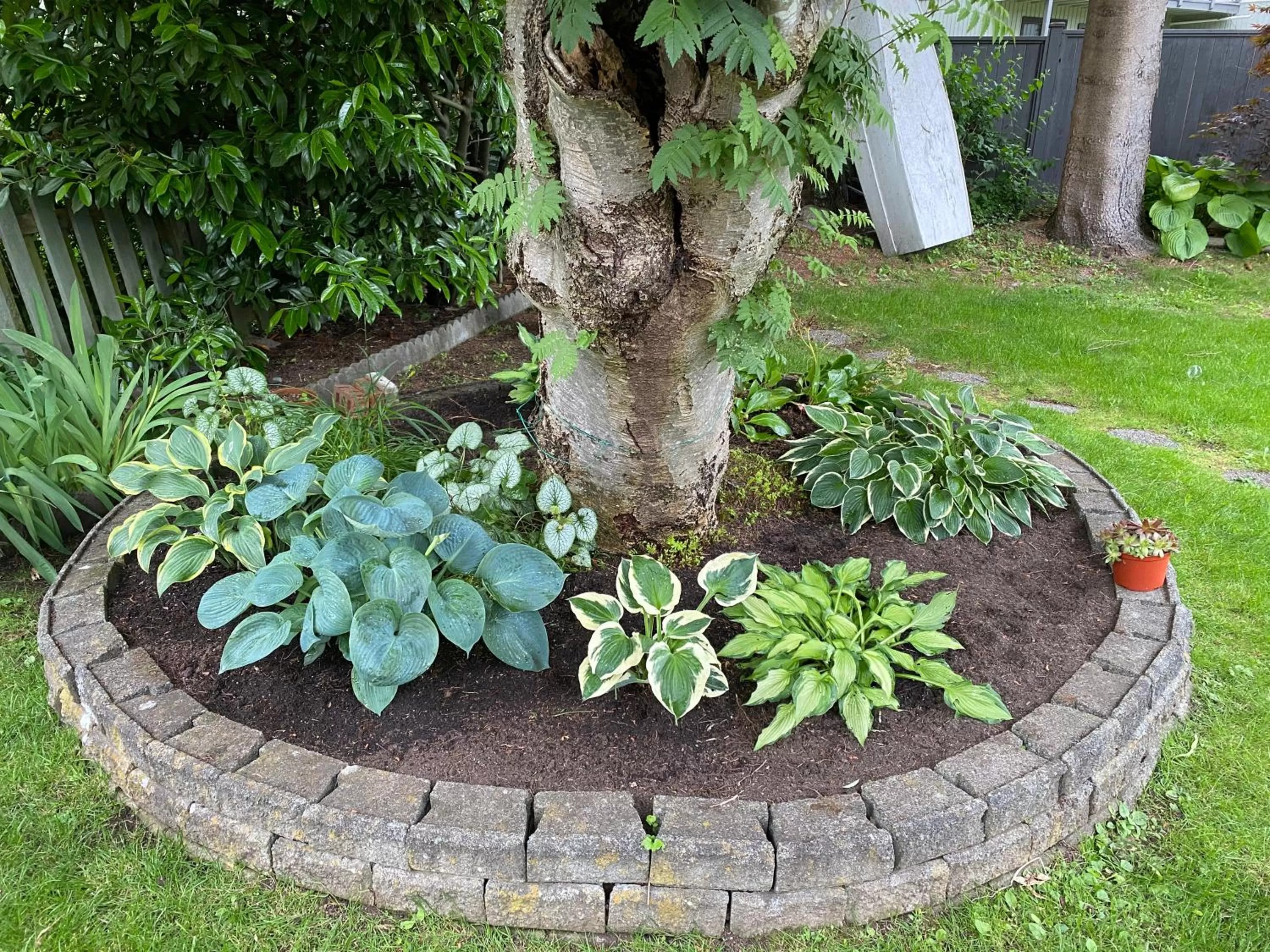 Day, Garden in Serenity