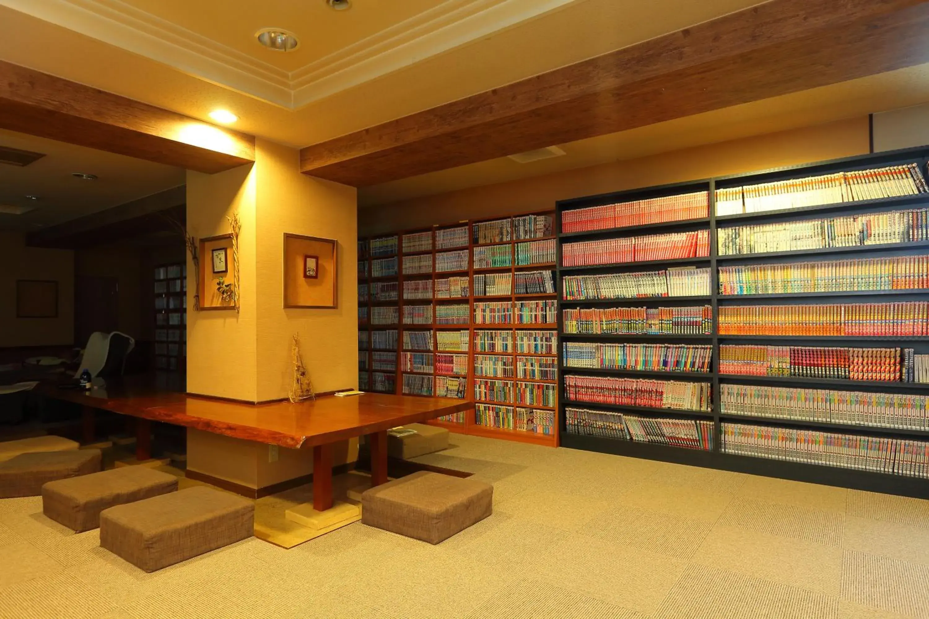 Library in Plaza Hotel Toyota