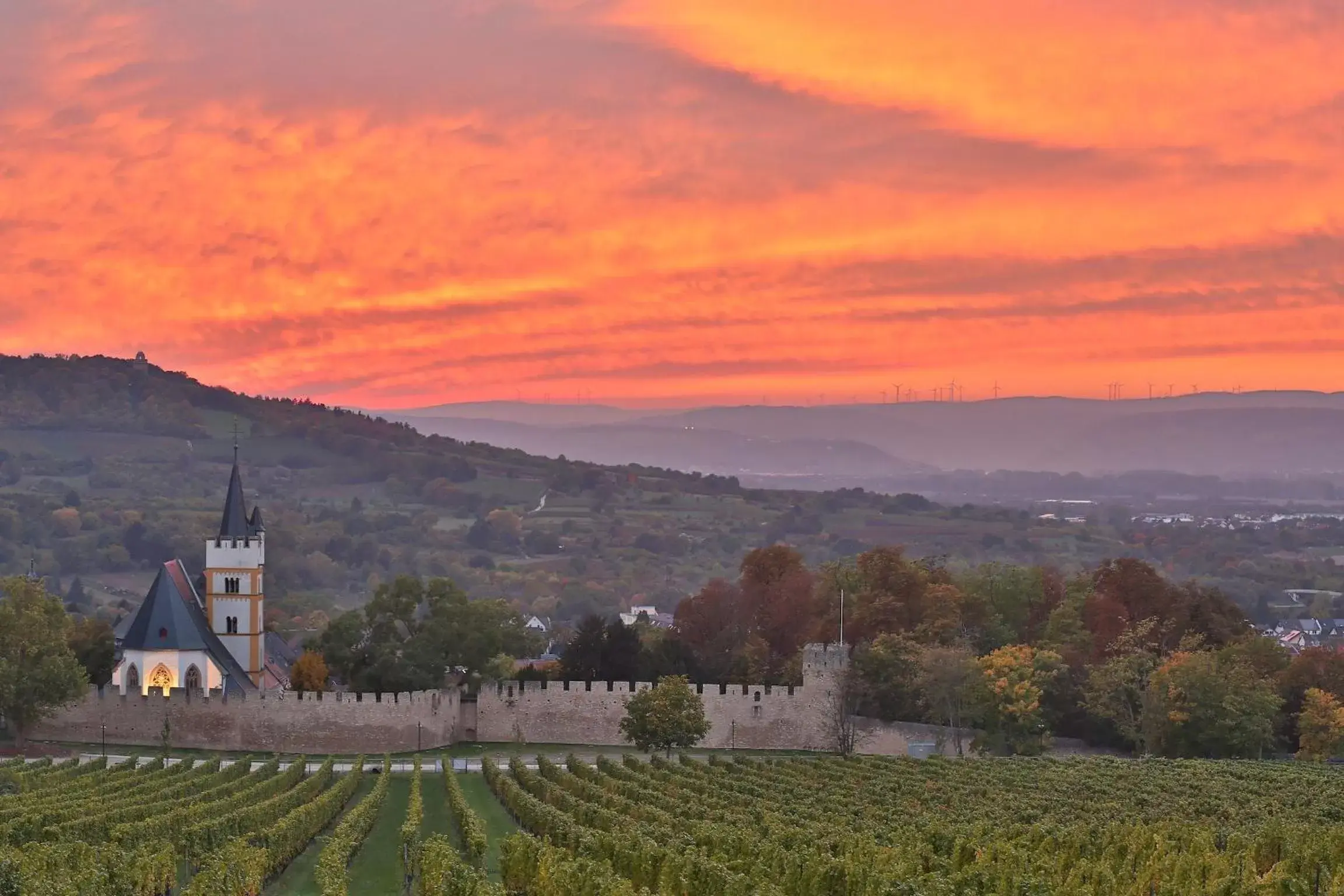 Natural landscape in IBB Hotel Ingelheim