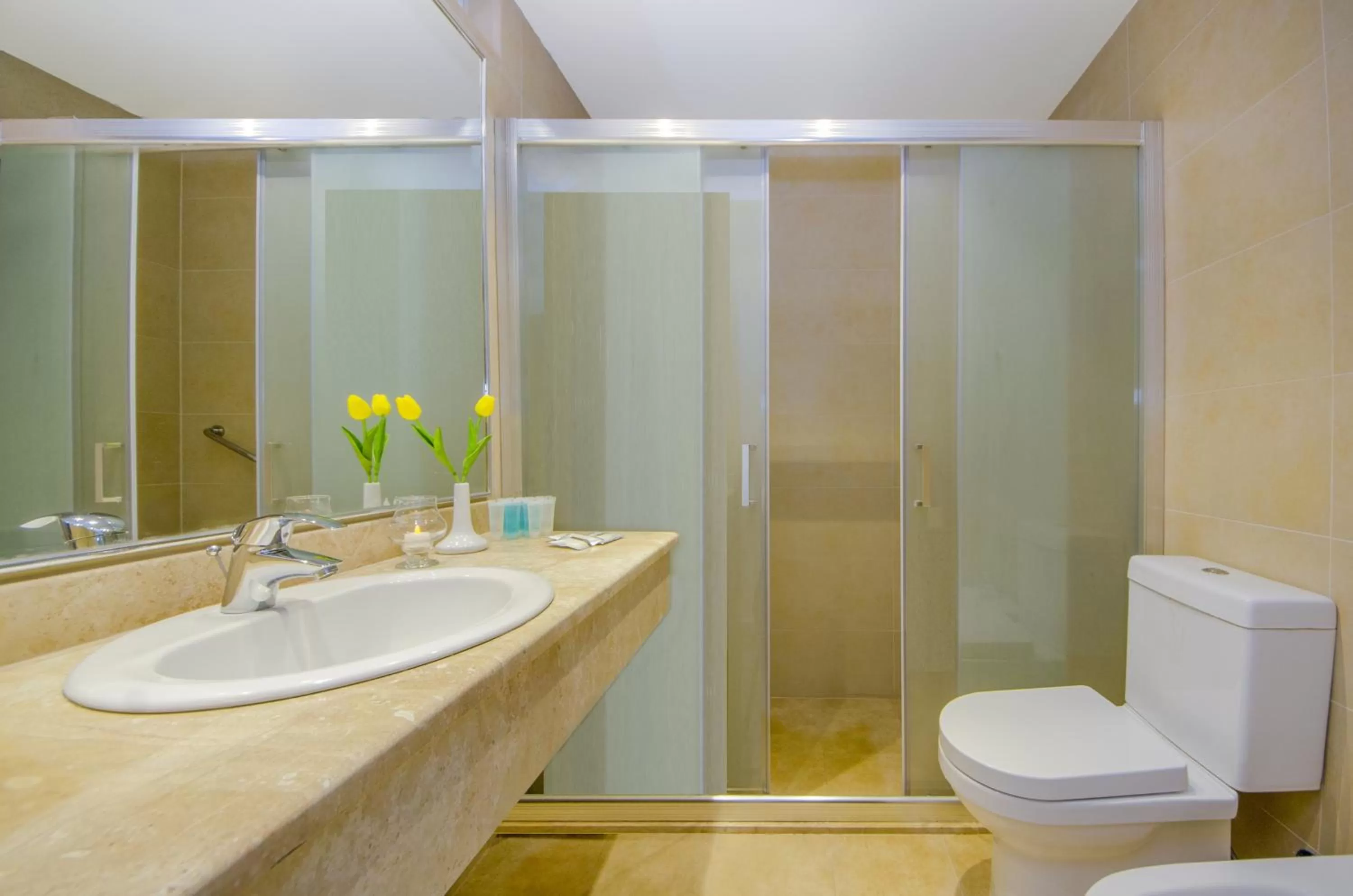 Shower in Toledo Amman Hotel